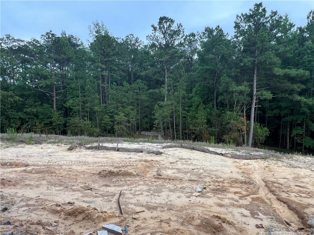 Fayetteville, North Carolina, 28311, United States, 4 Bedrooms Bedrooms, ,3 BathroomsBathrooms,Residential,For Sale,1867693