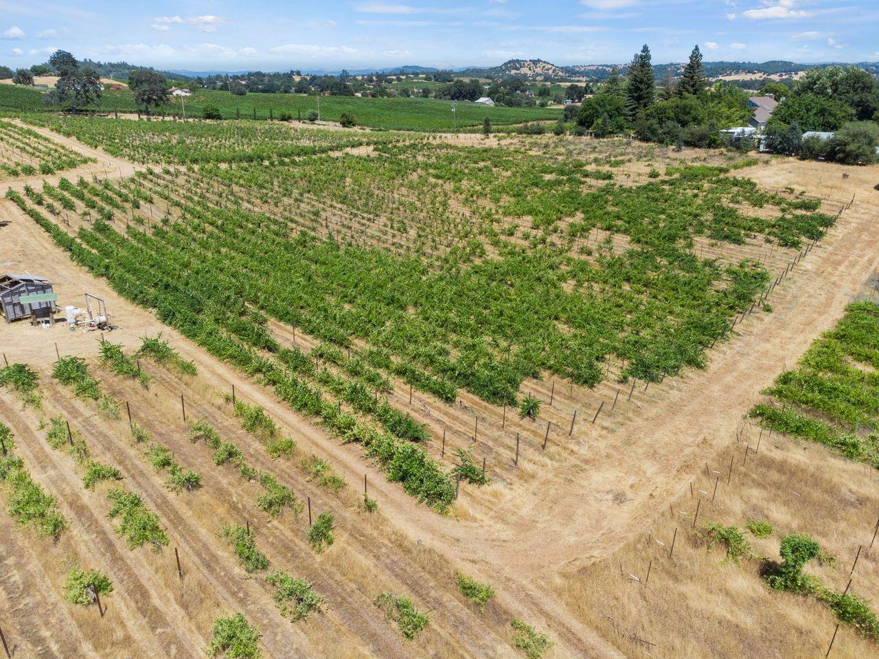 21226 Dickson Road, Plymouth, California, 95669, United States, ,Land,For Sale,21226 Dickson Road,1672447