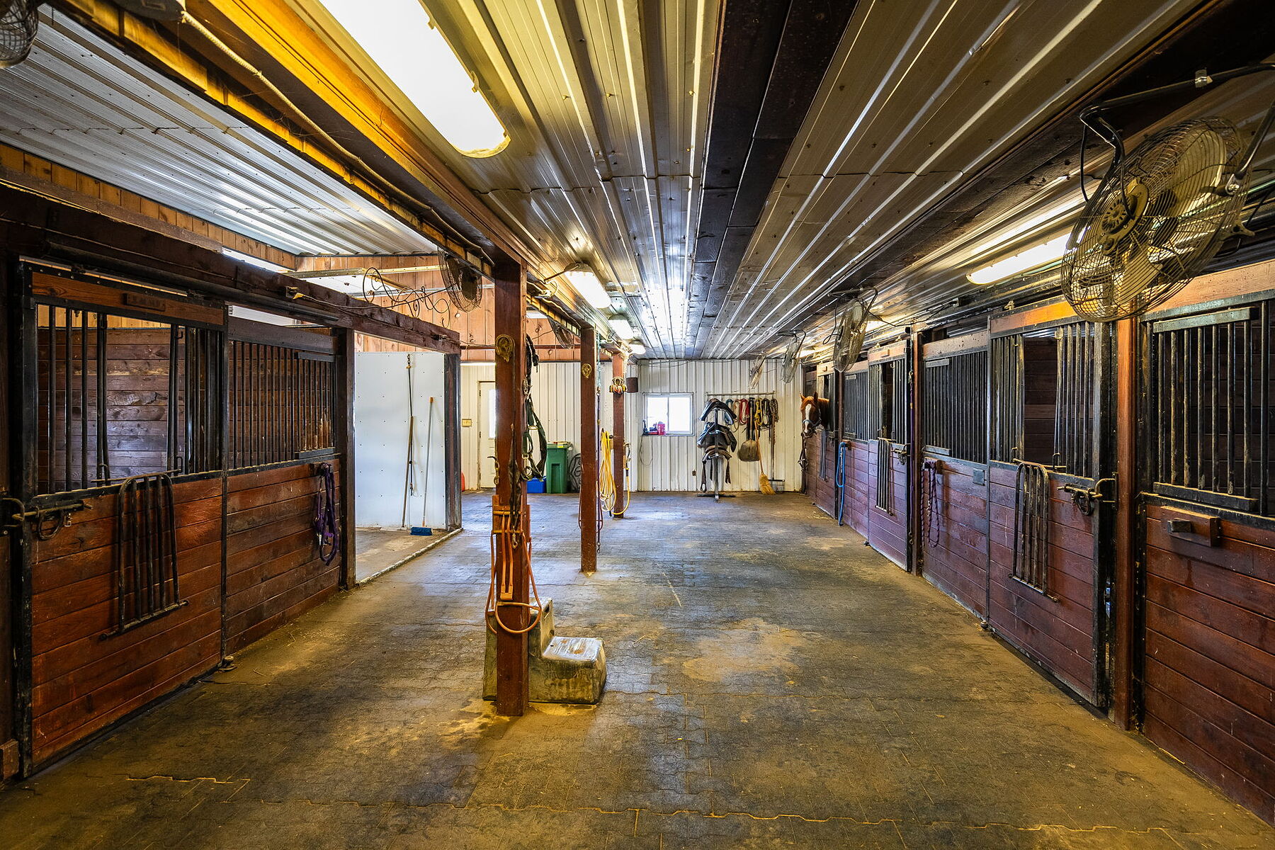  Premier Equestrian Property - 物件實景