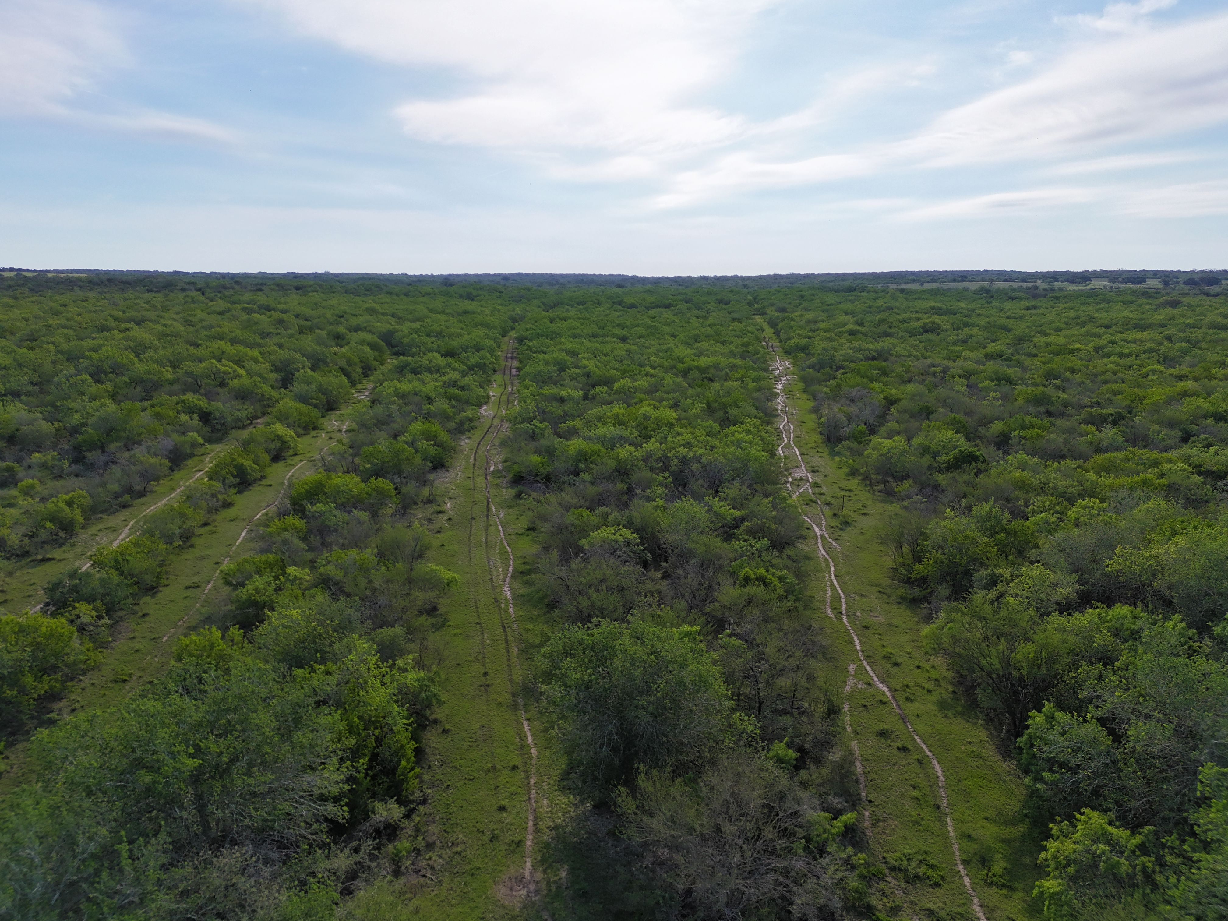  810+/- Acre Cabeza Creek Ranch - 物件實景