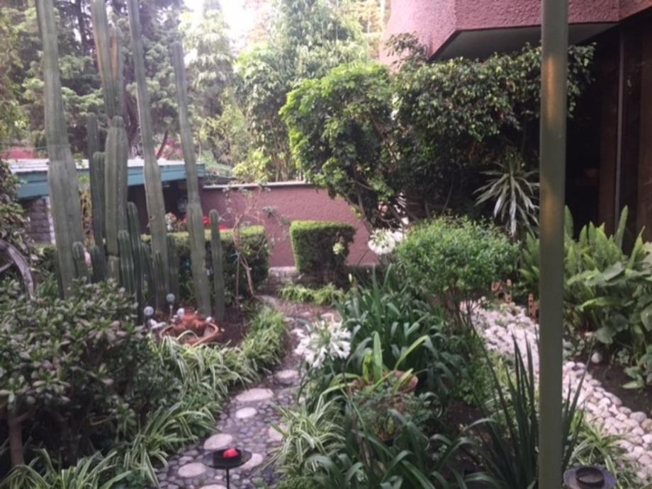 Bosque de Amates, Miguel Hidalgo, Ciudad de México, 11700, Mexico, 4 Bedrooms Bedrooms, ,4 BathroomsBathrooms,Residential,For Sale,Bosque de Amates,1613431