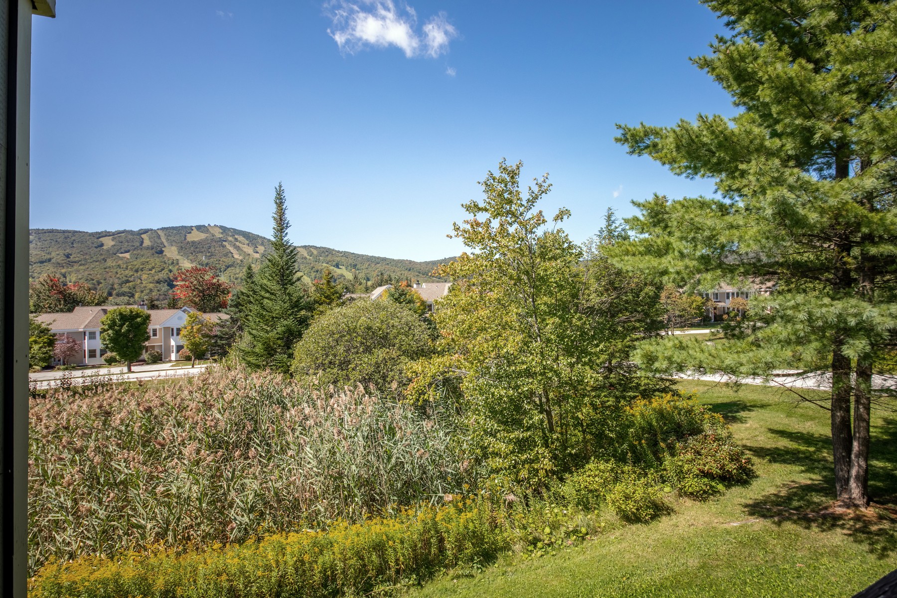  38D Greenspring Road - 物件實景