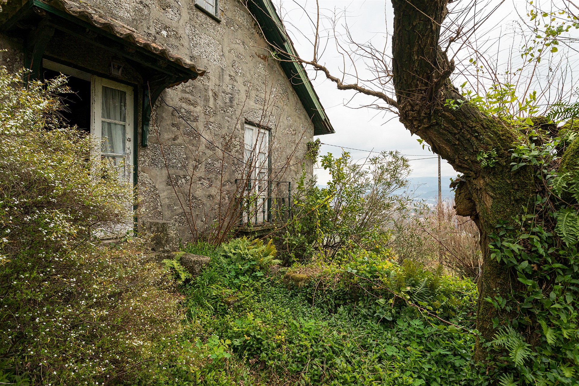  Small Farm, 4 bedrooms, for Sale - 物件實景