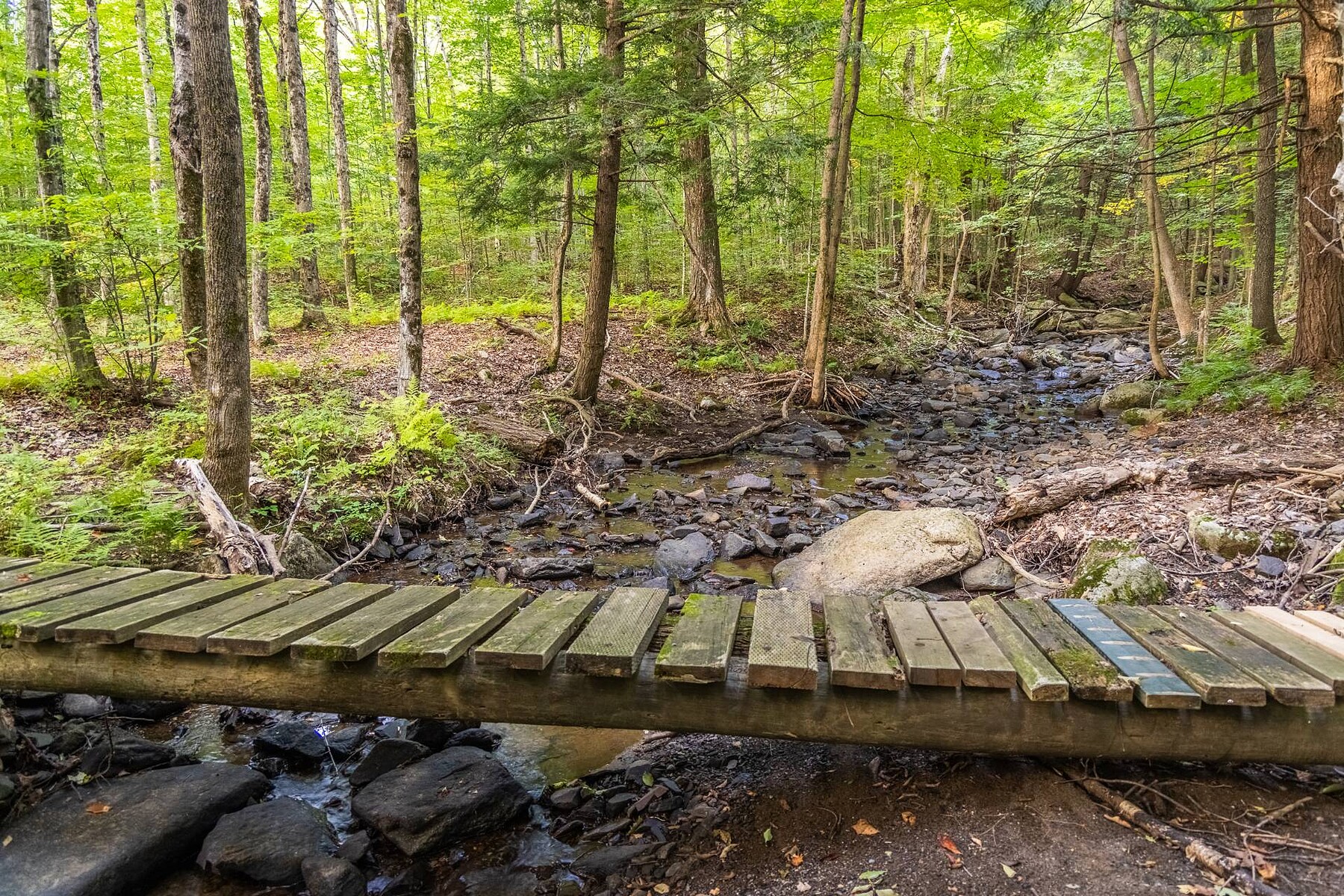 Shefford, Eastern Townships - 物件實景