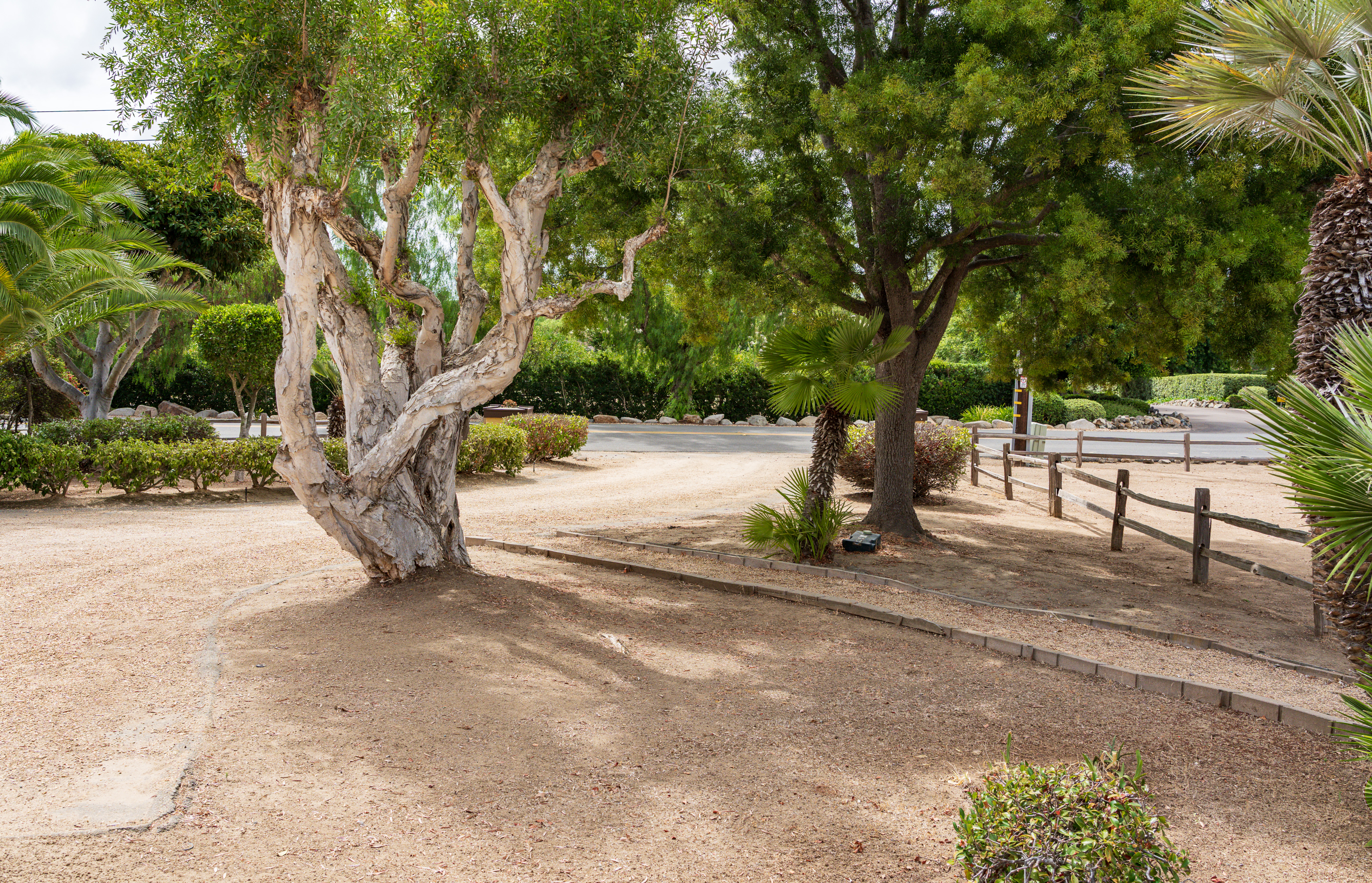  6358 Lago Lindo, Rancho Santa Fe, CA 92067 - 物件實景