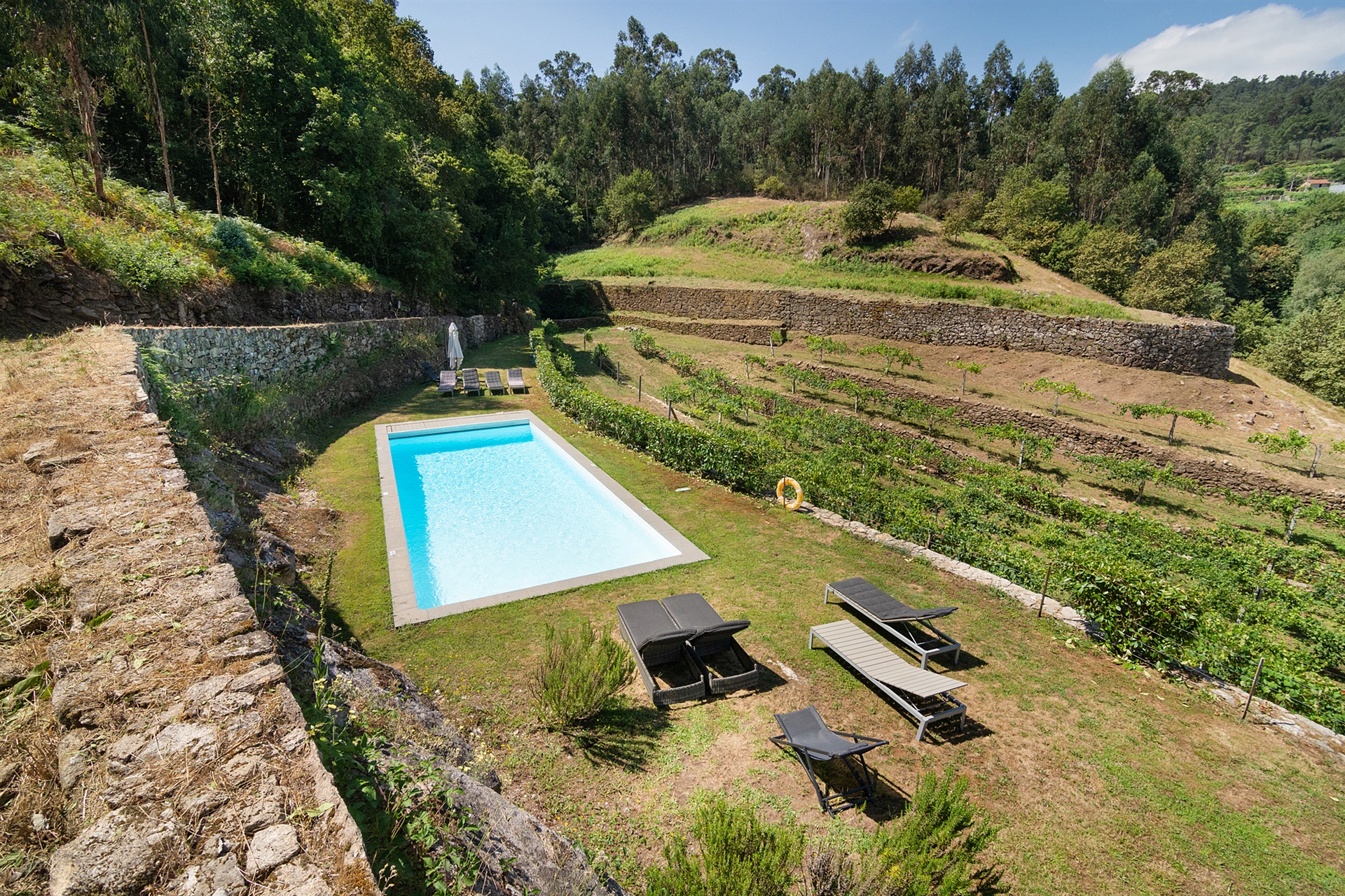  Farm, 5 bedrooms, for Sale - 物件實景