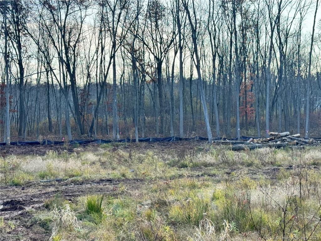 Newington, Connecticut, 06111, United States, ,Land,For Sale,1982448