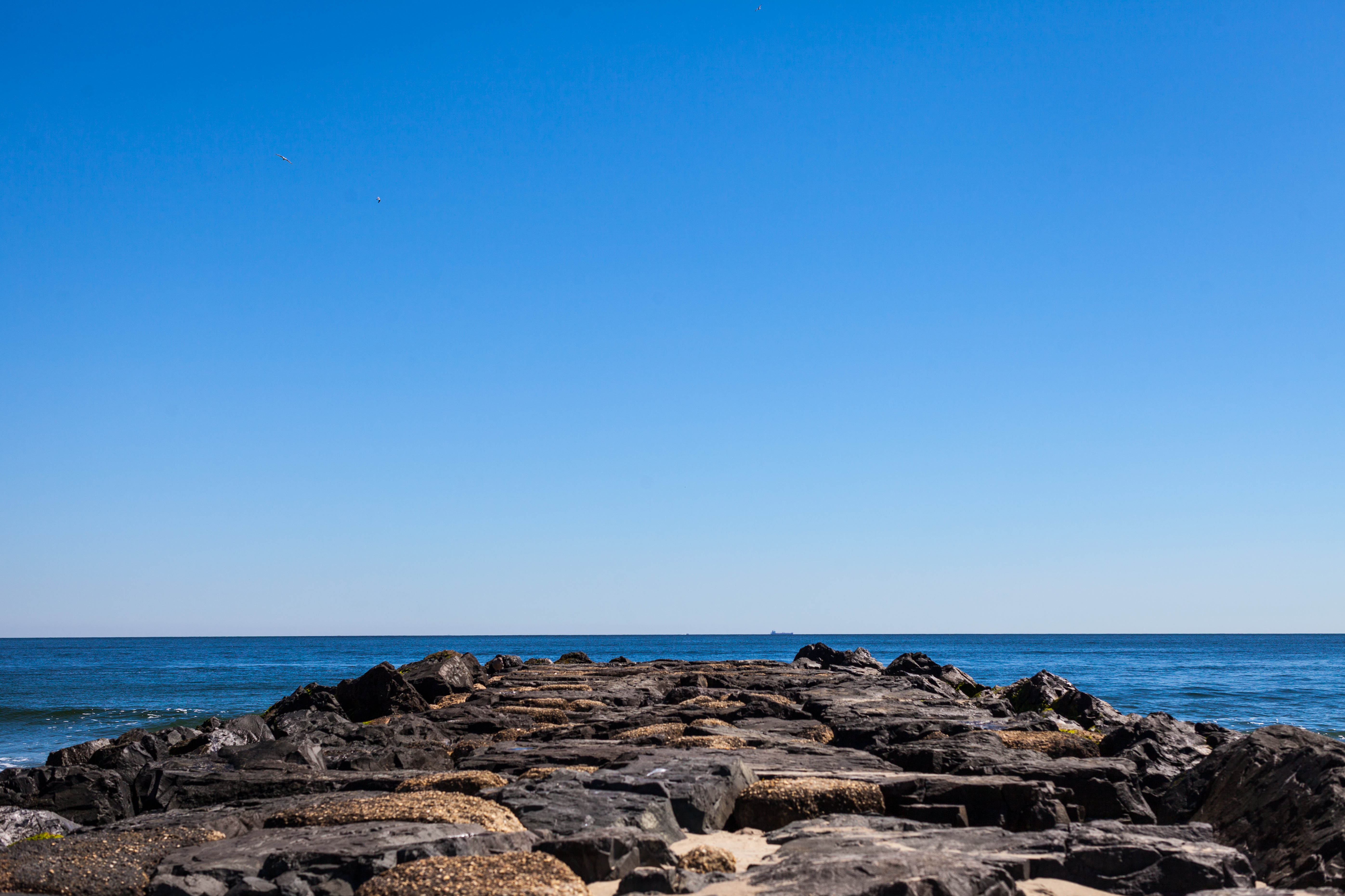  Ocean Grove Coastal Masterpiece - 物件實景