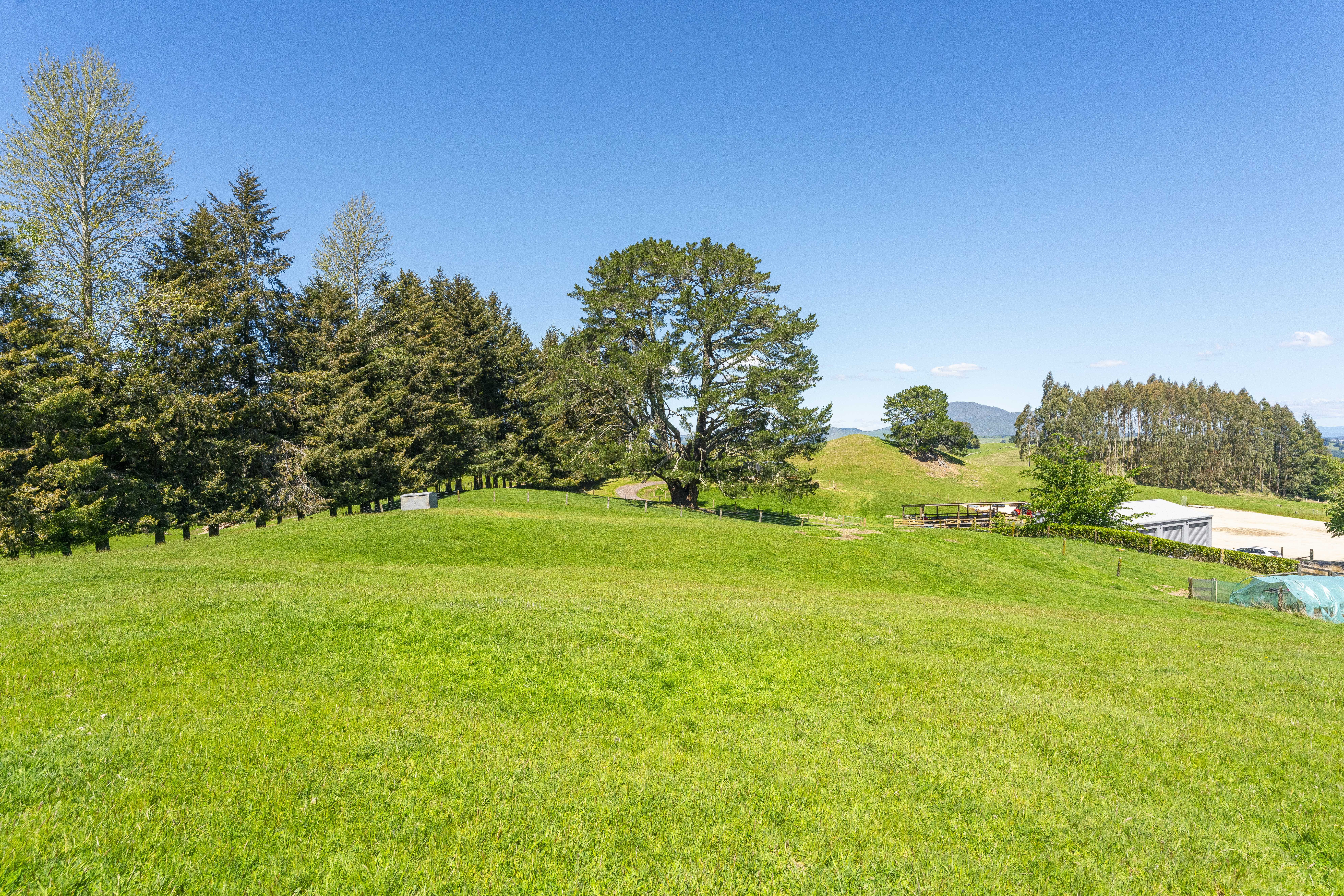  93 Oak Drive, Wairakei - 物件實景