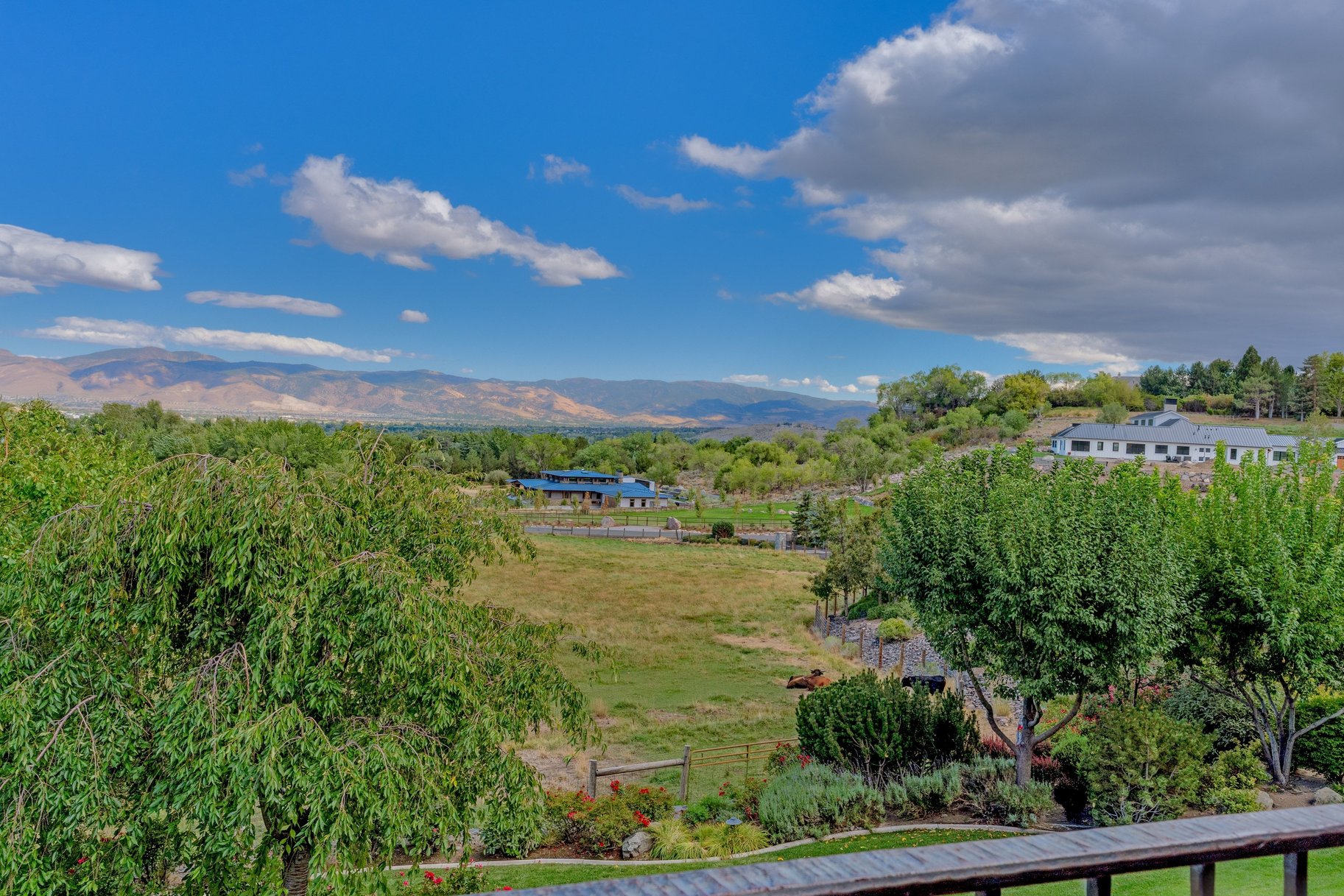  Windy Hill Luxury Estate  5 Acres of Privacy and Prestige - 物件實景