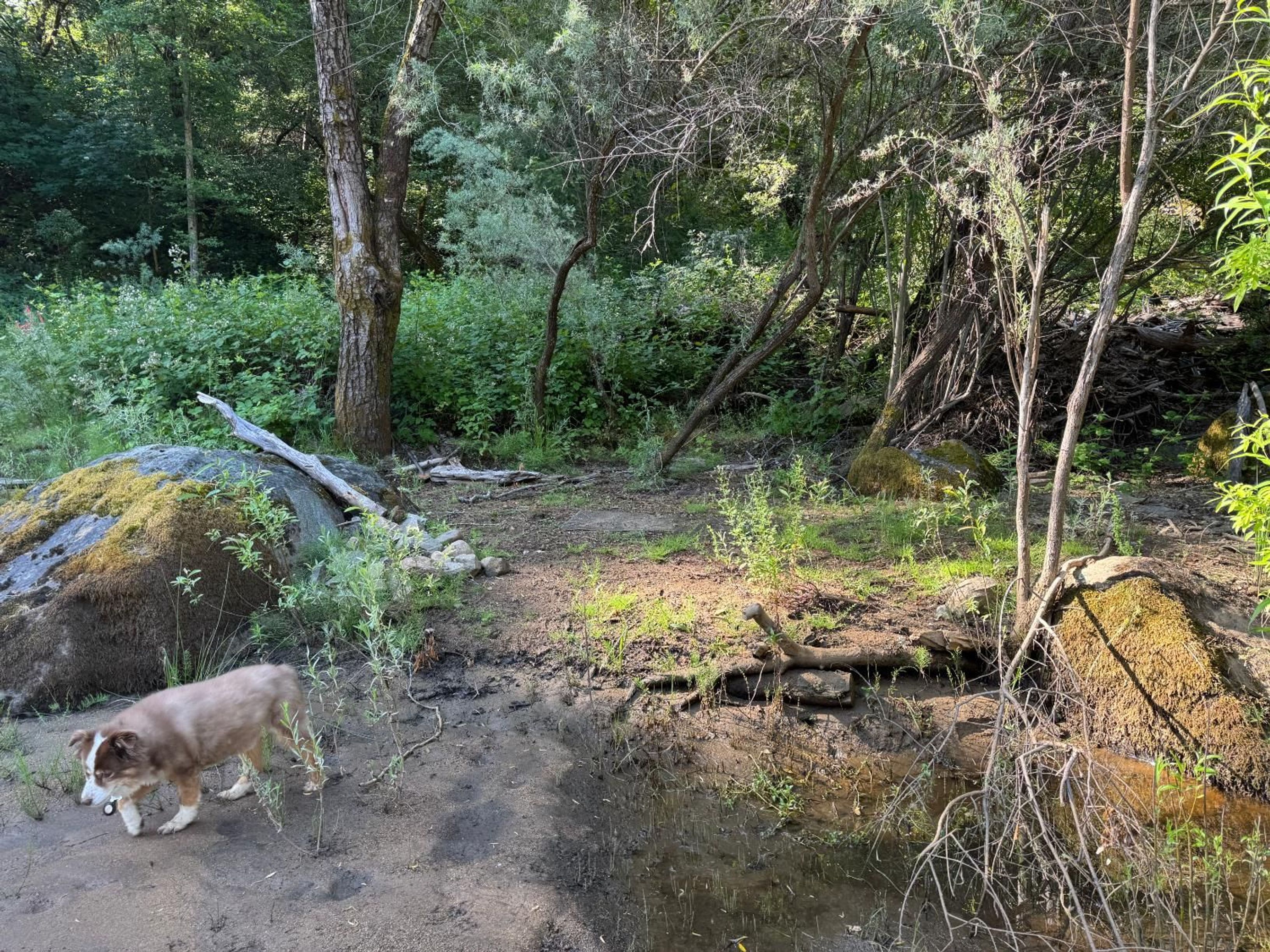  0 Old Country Road, West Point, CA 95255 - 物件實景