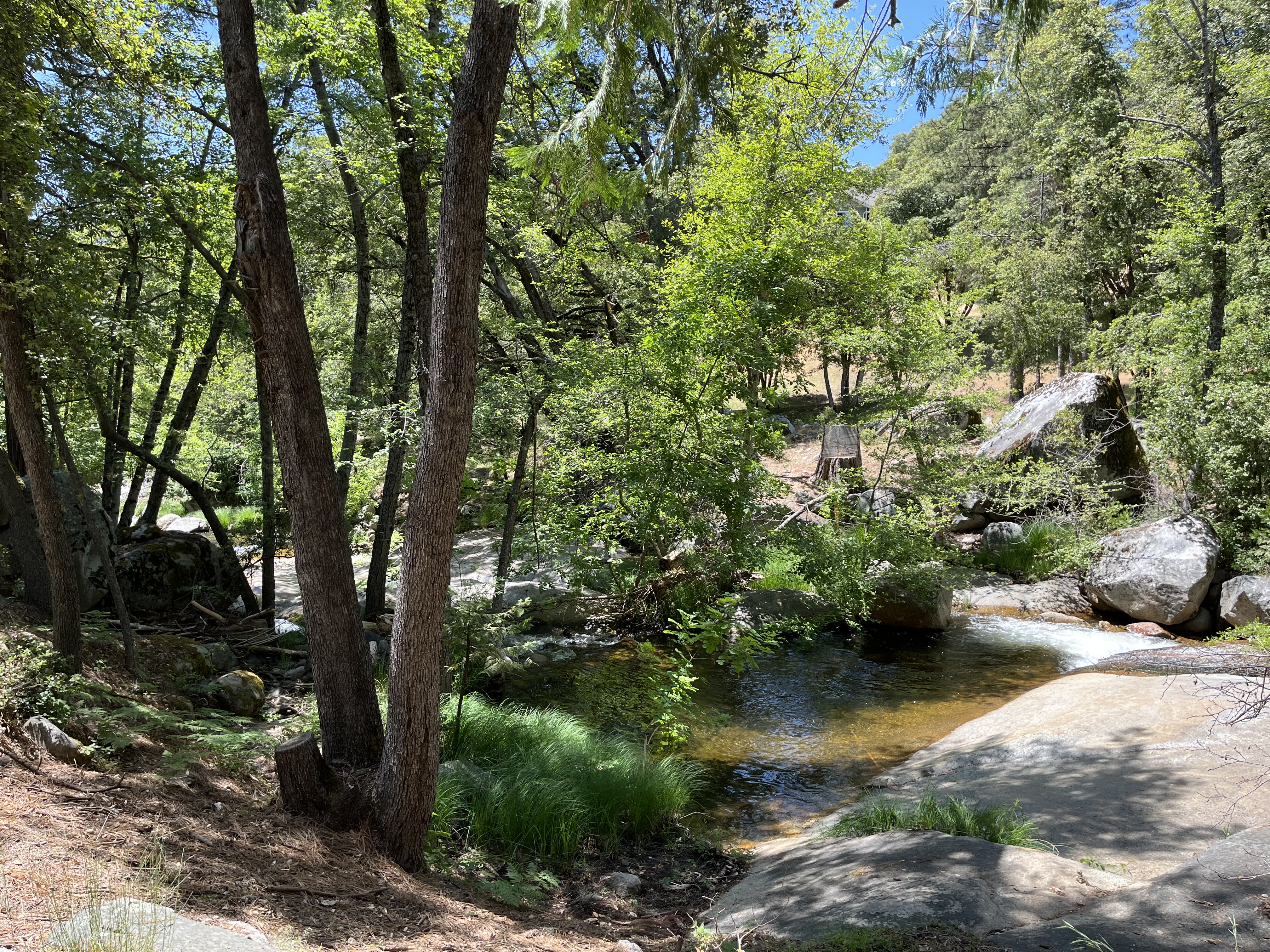 Mariposa, California, 95338, United States, 3 Bedrooms Bedrooms, ,3 BathroomsBathrooms,Residential,For Sale,1973787