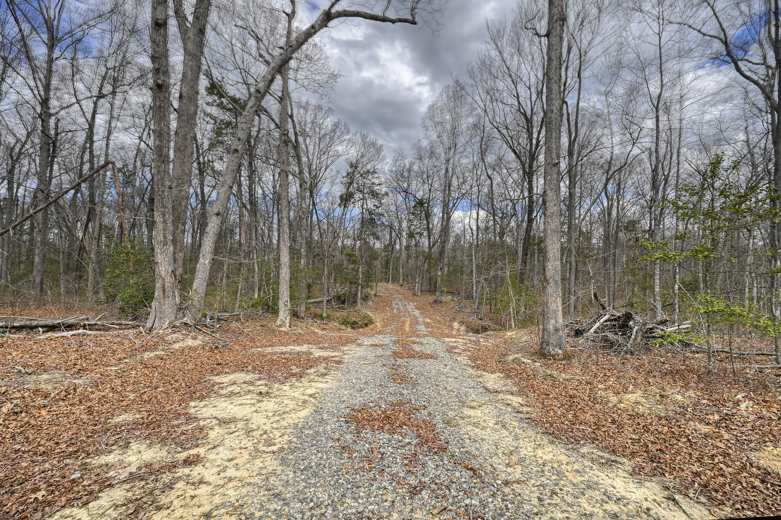 295 Equestrian Landing Trail, Bumpass, VA 23024 - 物件實景