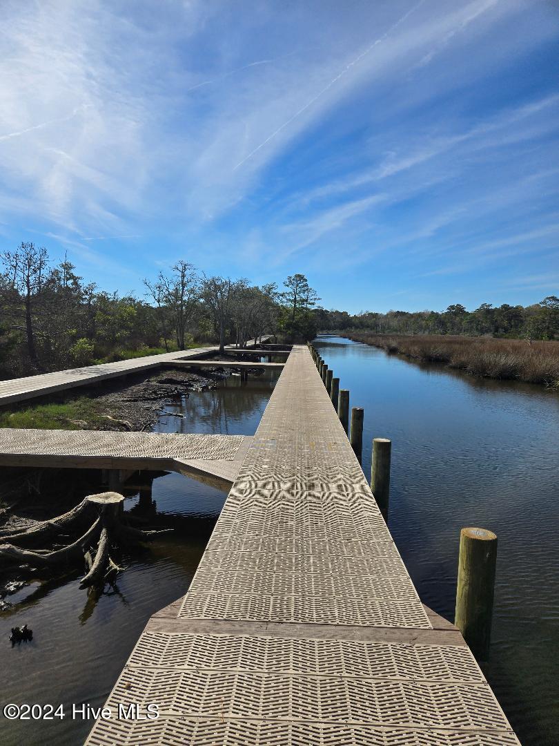 110 Sea Level Lane, Sneads Ferry, North Carolina, 28460, United States, ,Land,For Sale,110 Sea Level Lane,1644596