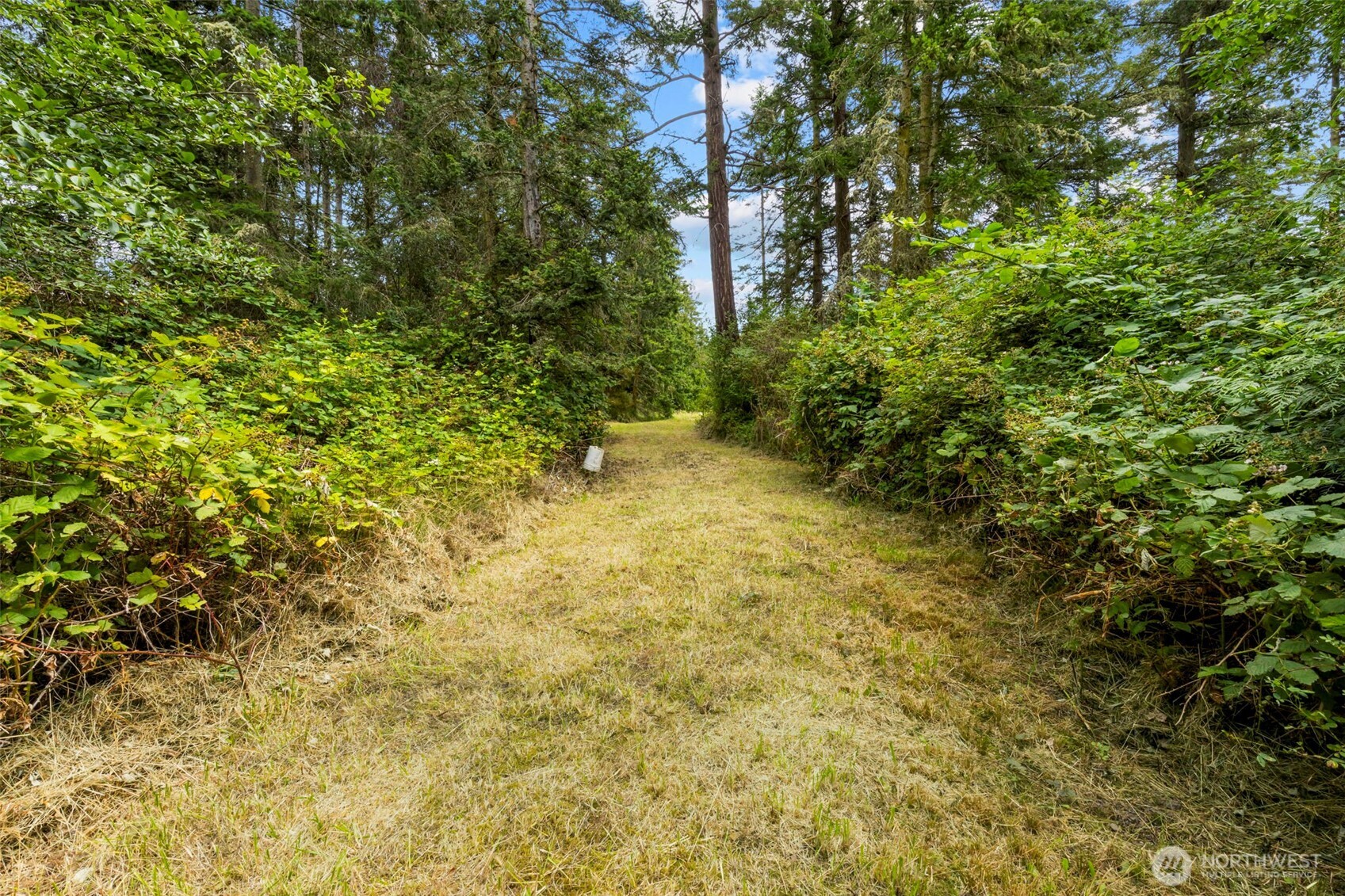 Nordland, Washington, 98358, United States, 1 Bedroom Bedrooms, ,1 BathroomBathrooms,Residential,For Sale,1728510