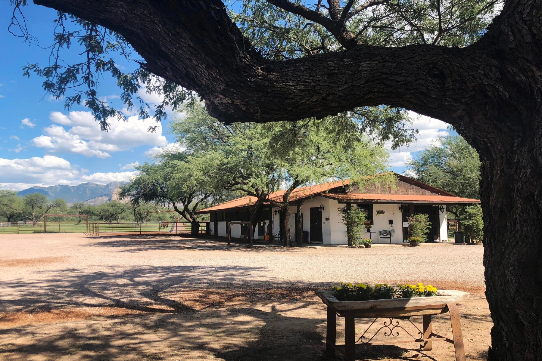  3155 W Elephant Head Road¦Amado, AZ - 物件實景