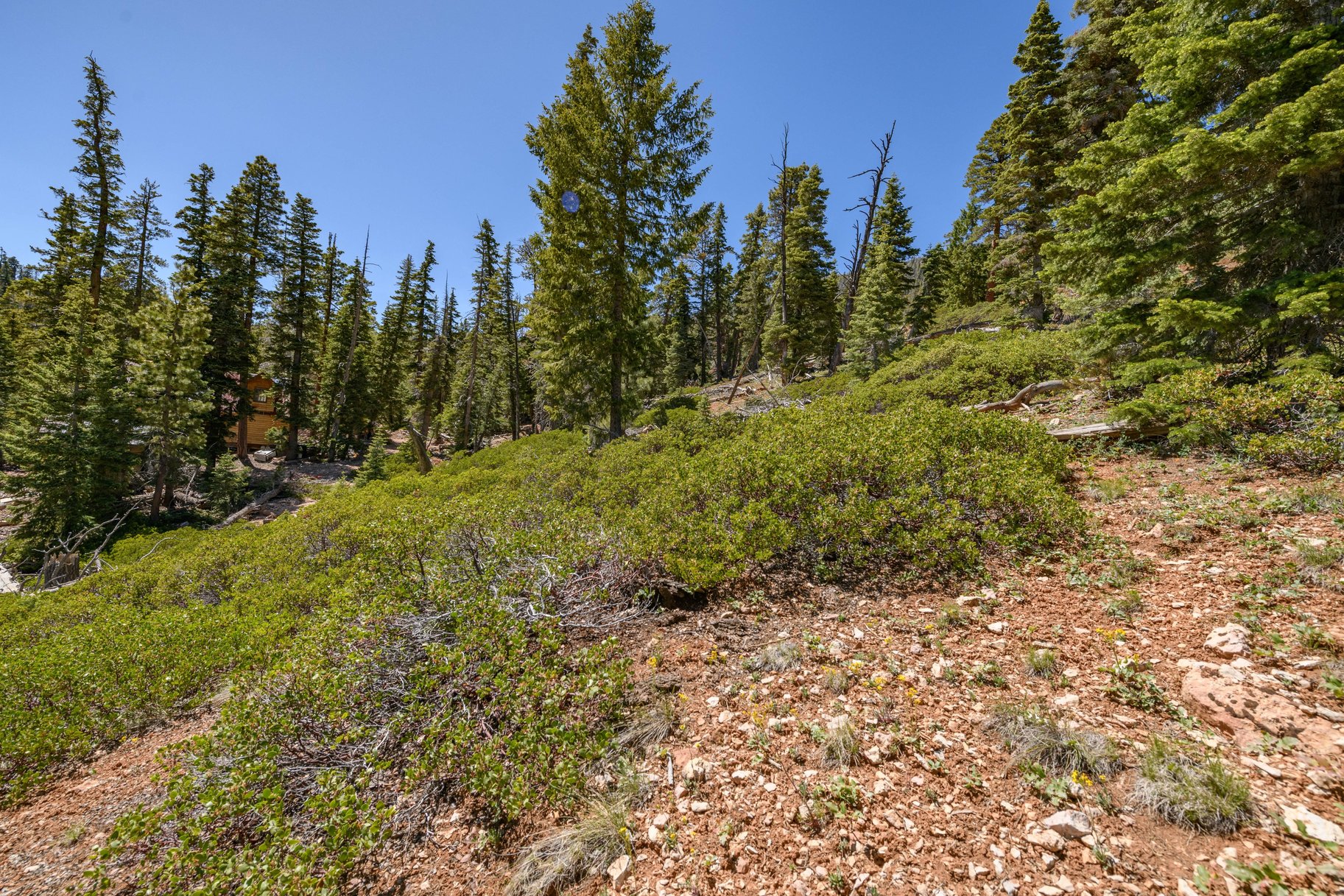  Quiet Mountain Retreat Near Navajo Lake - 物件實景