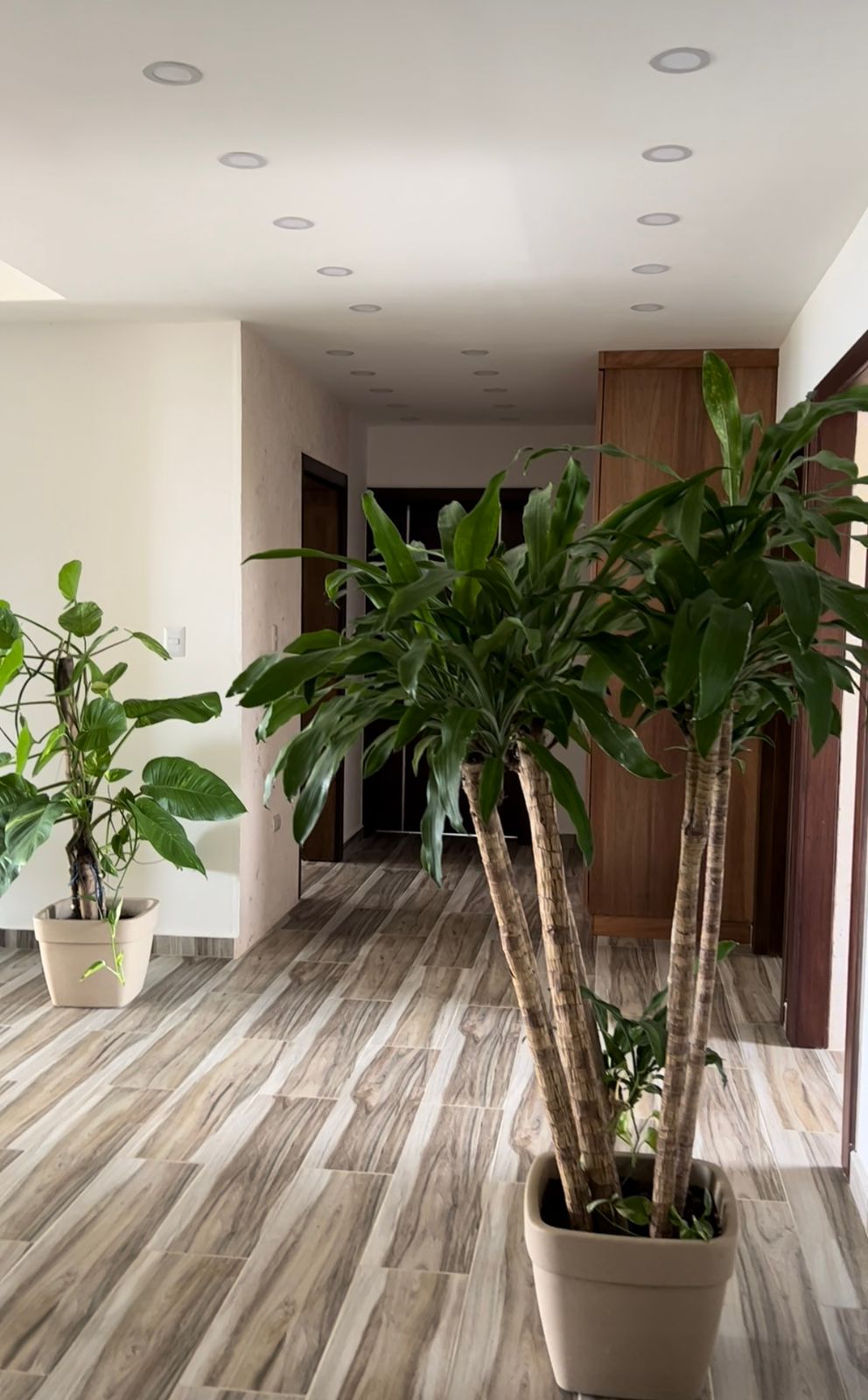 Cabarete, DO, 2 Bedrooms Bedrooms, ,Residential,For Sale,1621702