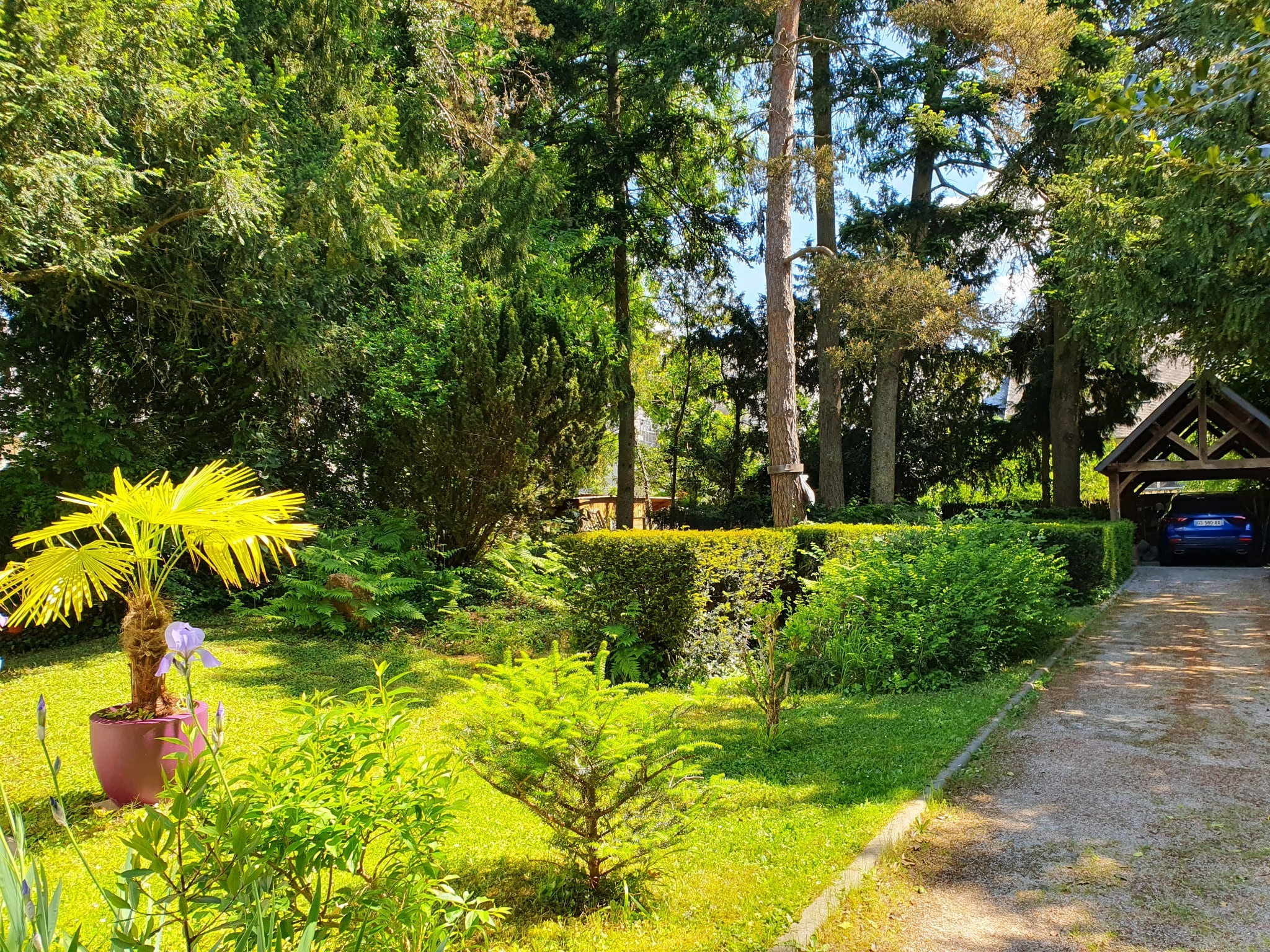  Olivet – Elegant Early 20th Century Villa – 230 sqm – 1,800 sqm Landscaped Park - 物件實景