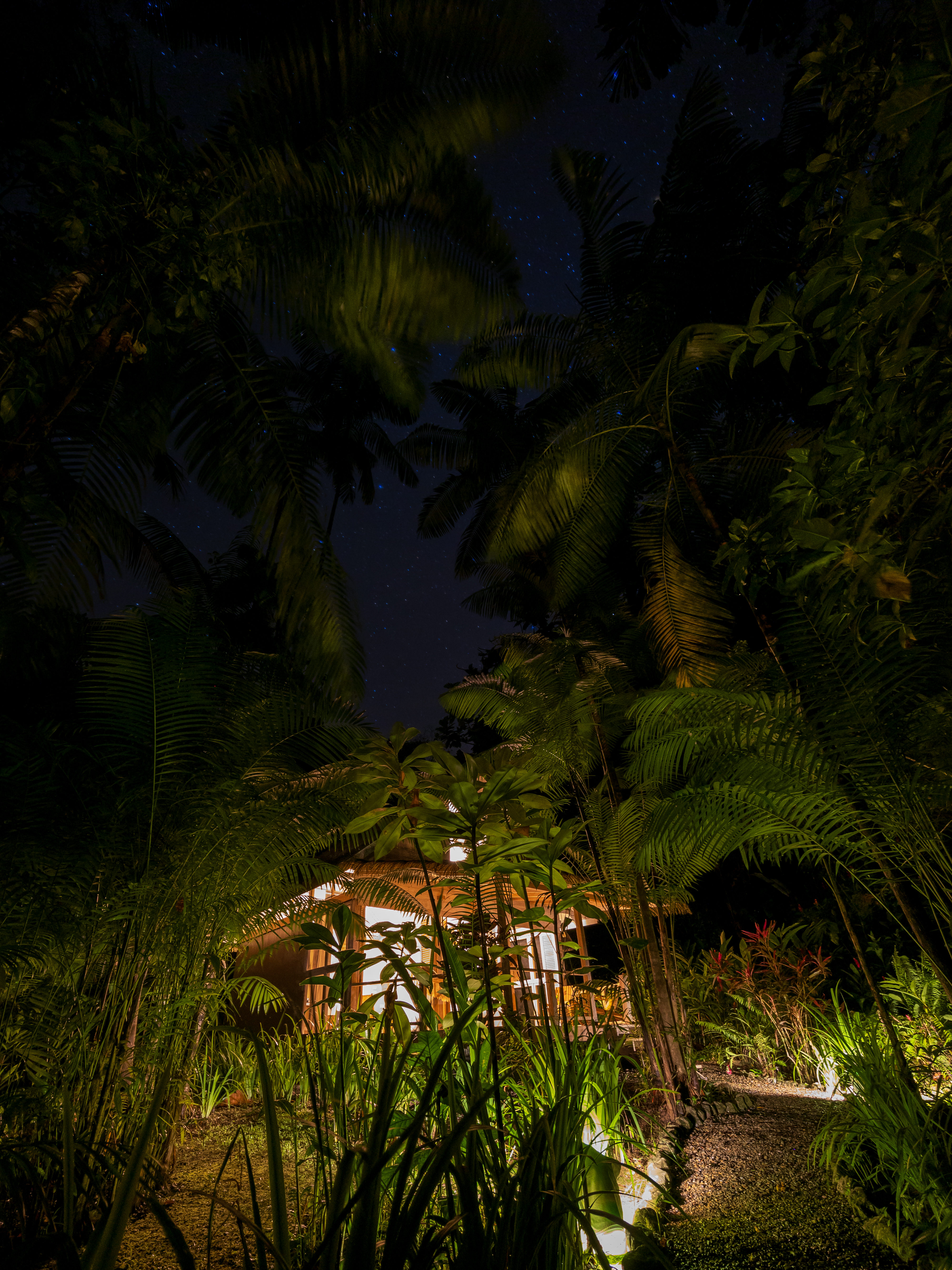Golfito, Puntarenas, CR, 15 Bedrooms Bedrooms, ,13 BathroomsBathrooms,Residential,For Sale,1903279