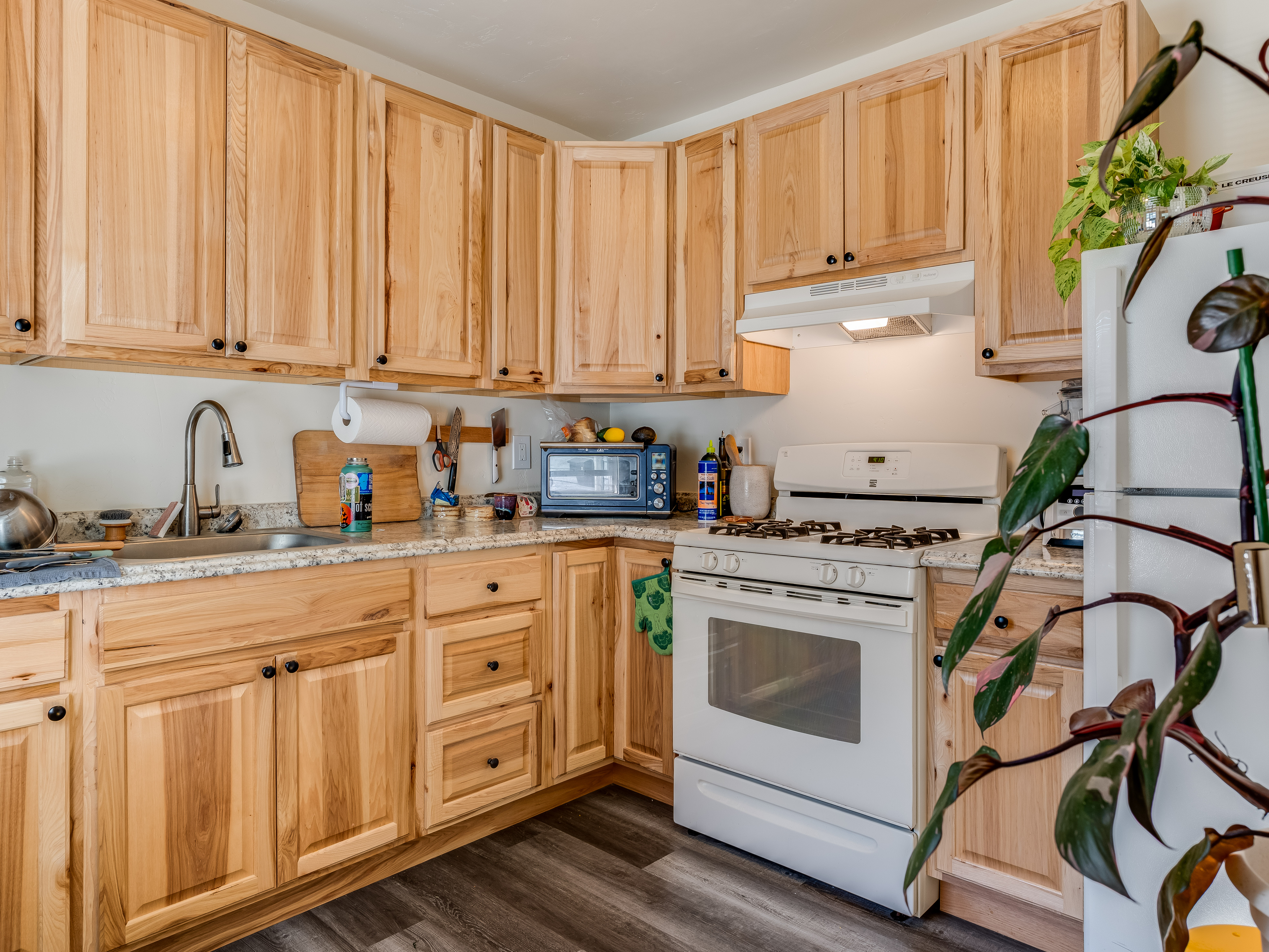  Great Triplex Opportunity - 物件實景