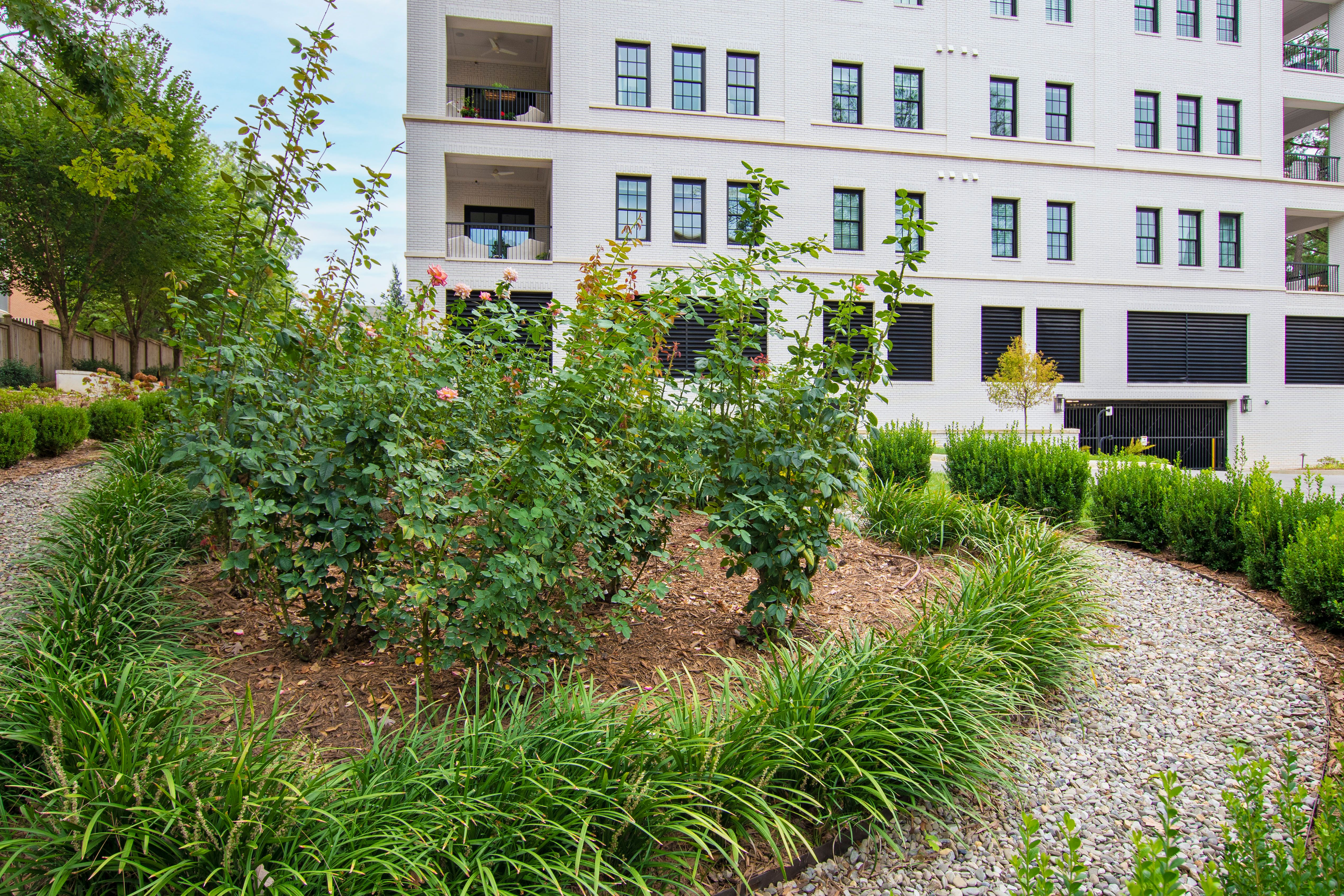  620 Wade Avenue Unit 406, Raleigh, NC 27605 - 物件實景