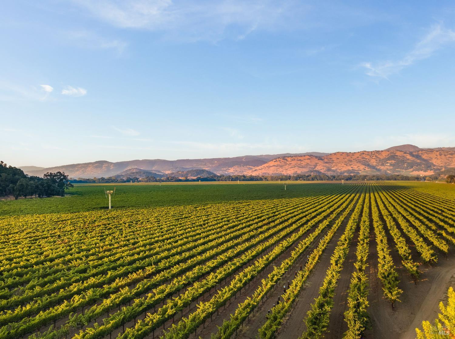 Yount St, Yountville, CA 94599