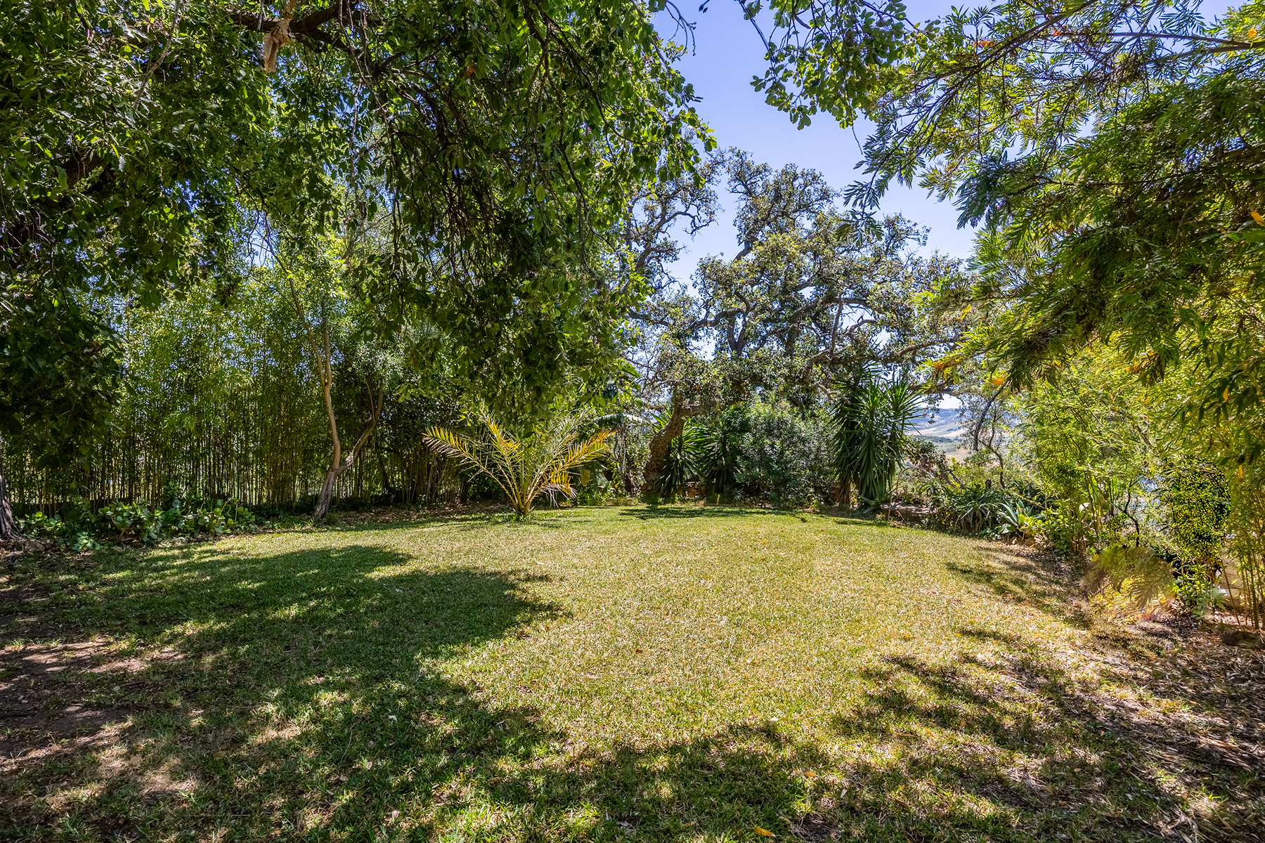  Exclusive Estate in Los Alcornocales Natural Park - 物件實景