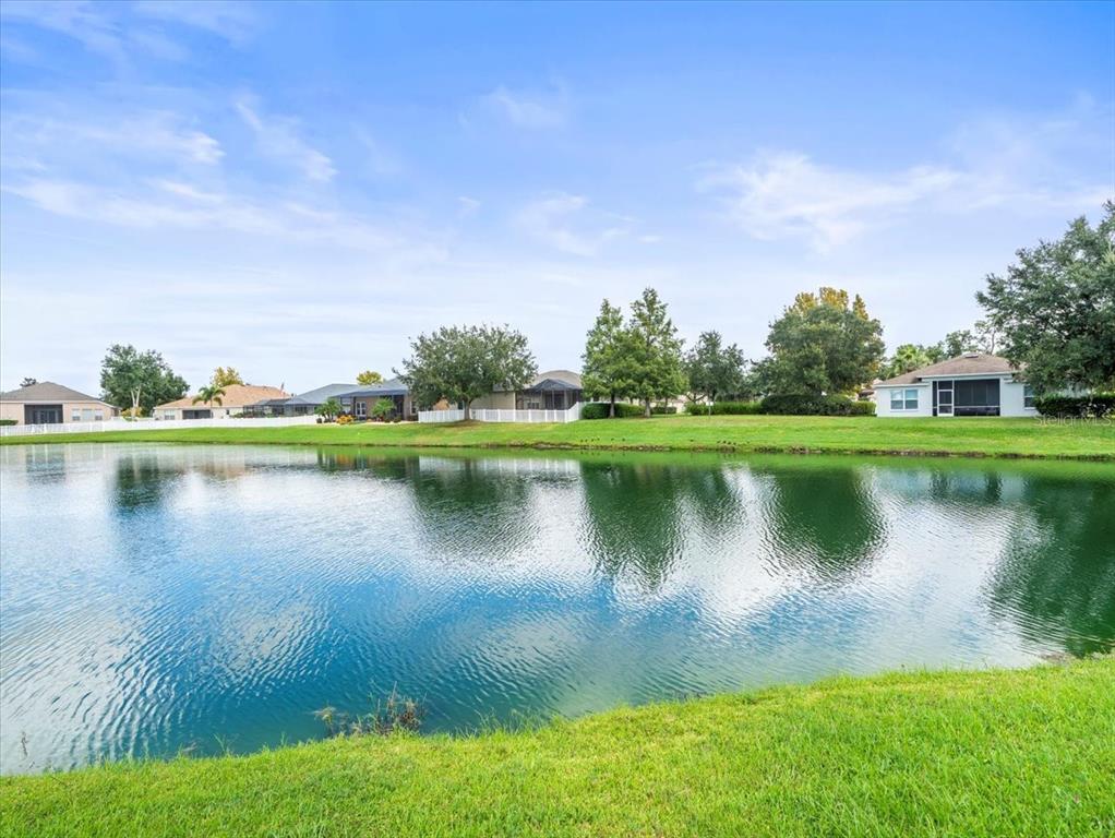 Wesley Chapel, Florida, 33545, United States, 4 Bedrooms Bedrooms, ,2 BathroomsBathrooms,Residential,For Sale,1962993