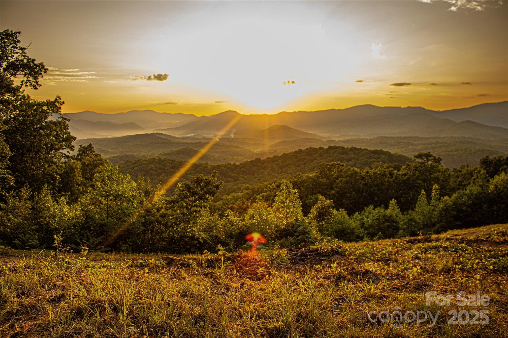 Union Mills, North Carolina, 28167, United States, ,Land,For Sale,1976920