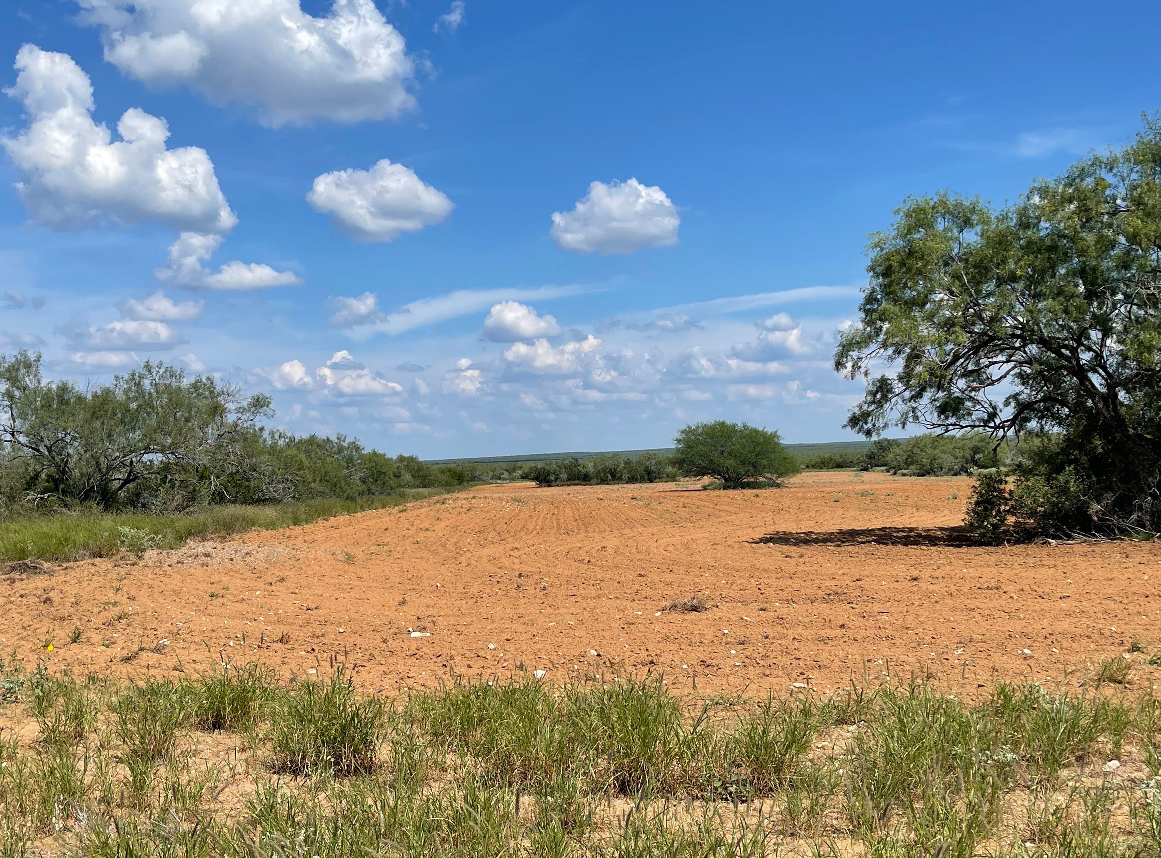  Historic El Tecomate Hunting Ranch - 物件實景