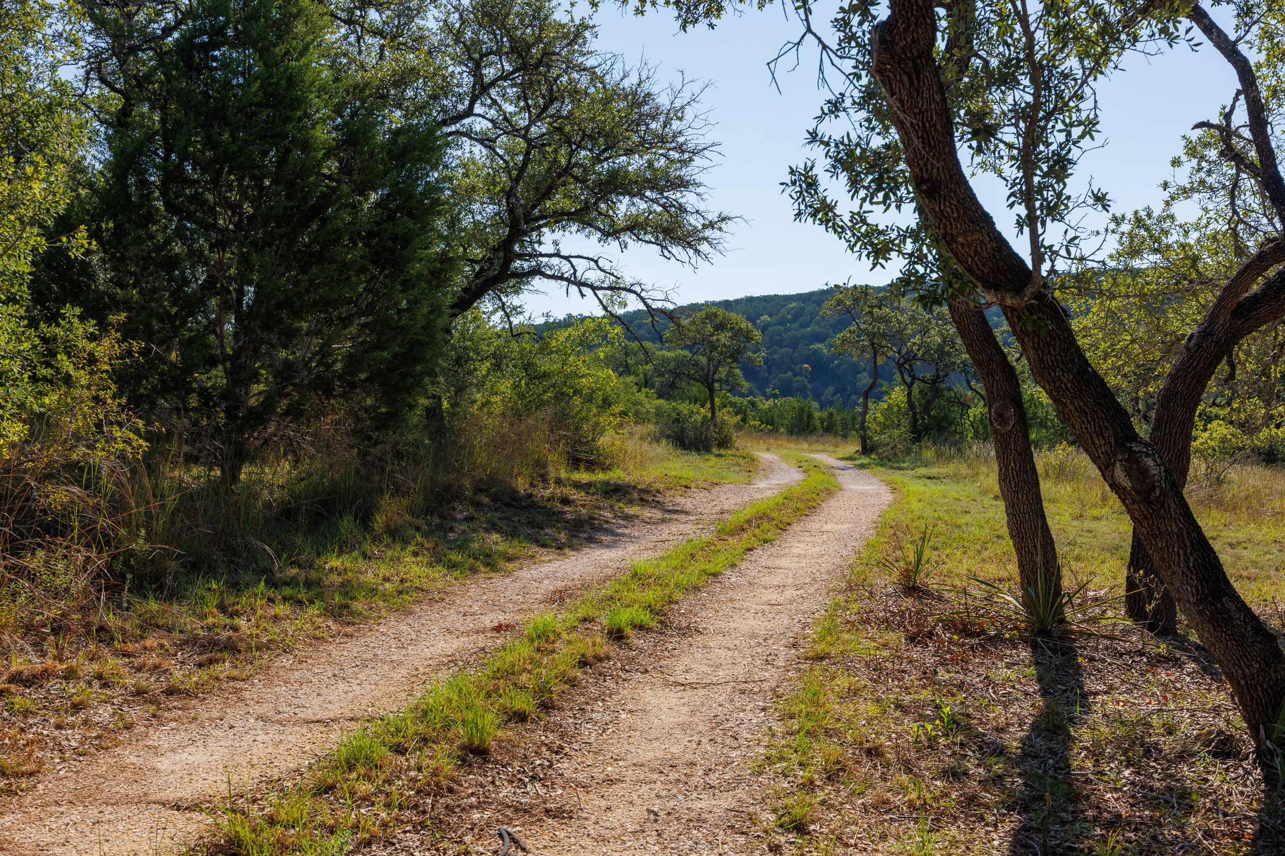 Wimberley, Texas, 78676, United States, 3 Bedrooms Bedrooms, ,3 BathroomsBathrooms,Residential,For Sale,1977776