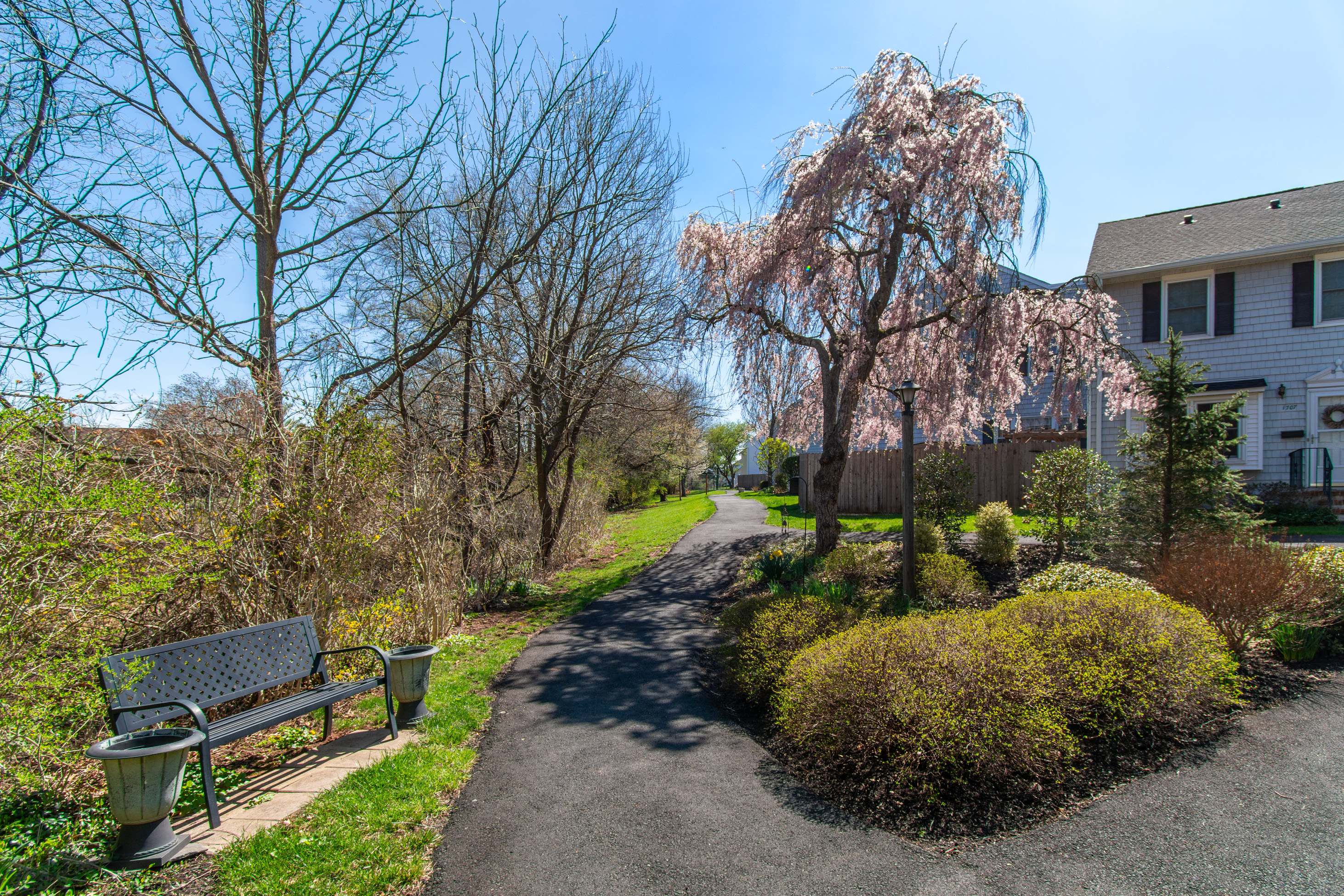  Williamsburg Square Townhouse with New Kitchen, Floors & Bath - 物件實景