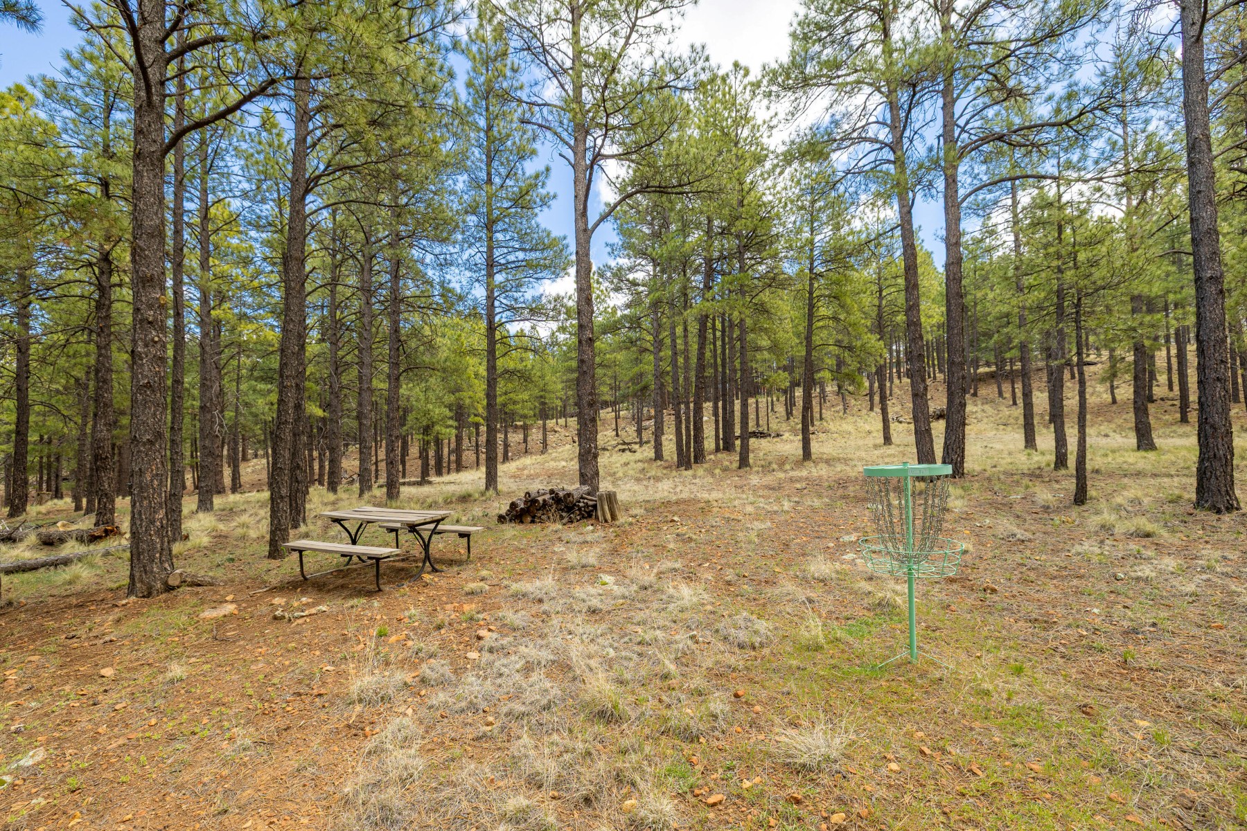  1426 N Edgewood Street¦Flagstaff, AZ - 物件實景