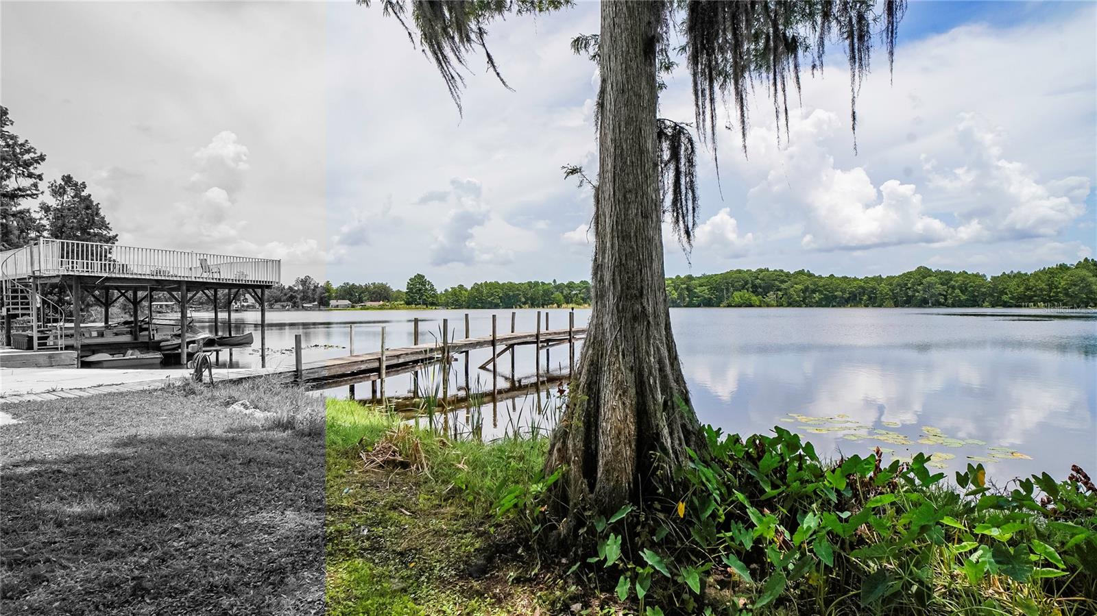 LAND O LAKES, Florida, 34638, United States, 3 Bedrooms Bedrooms, ,1 BathroomBathrooms,Residential,For Sale,1829291