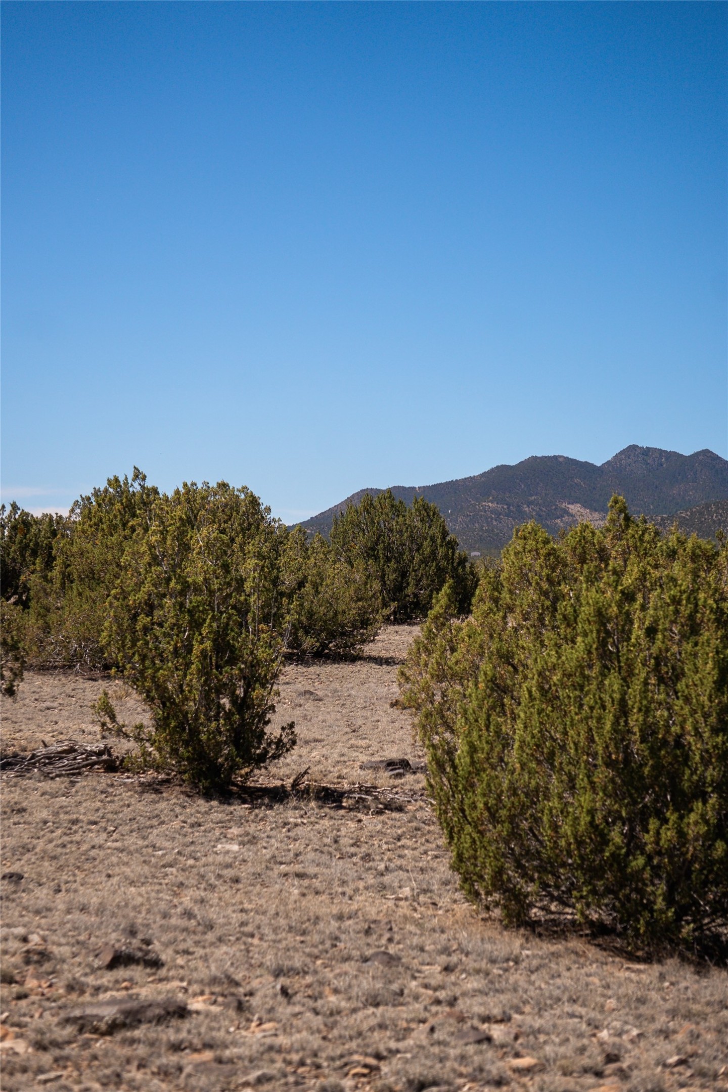  7 Rancho De Shama A - 物件實景