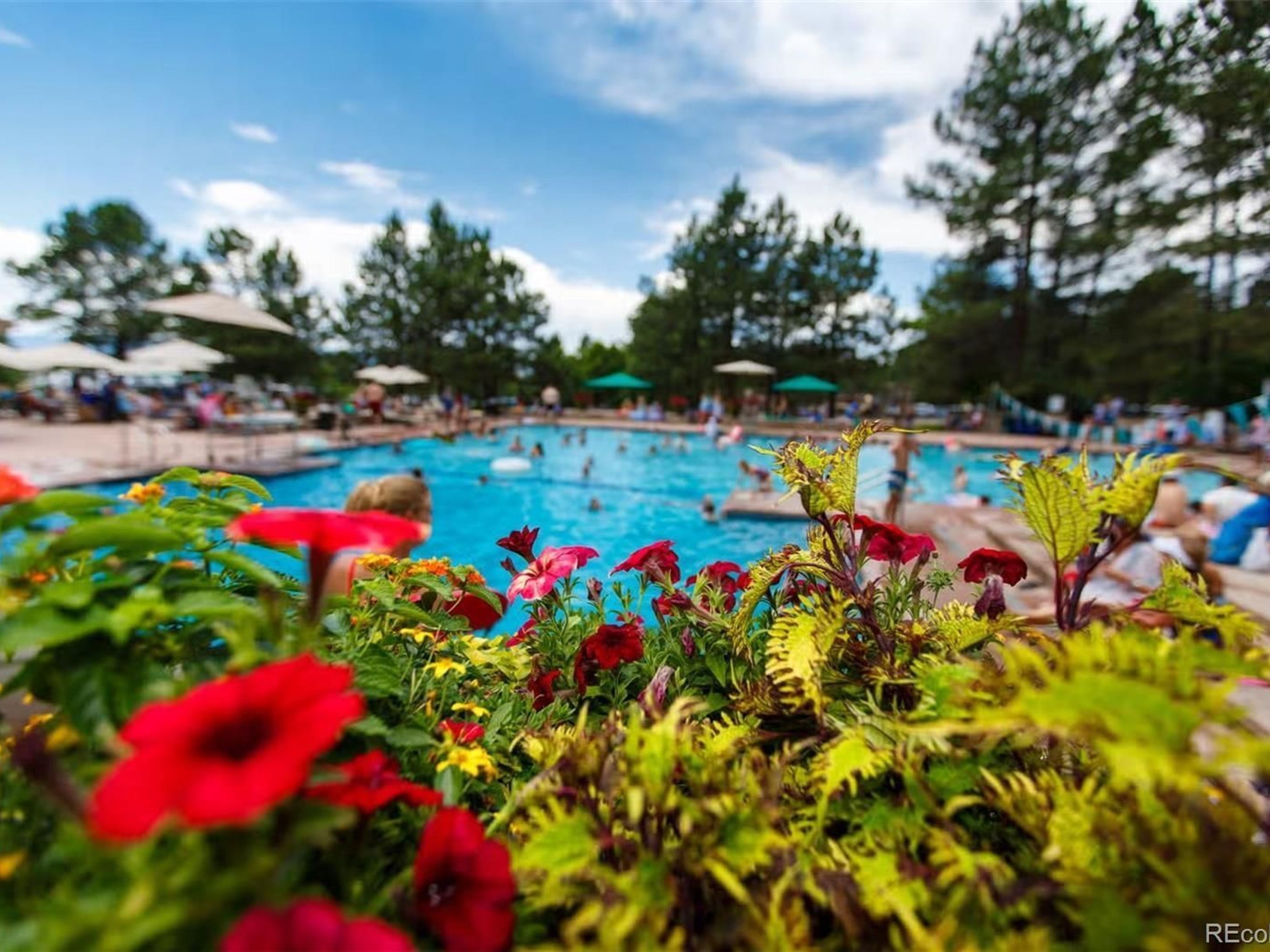  Rare In The Gated, Coveted Village At Castle Pines Community - 物件實景