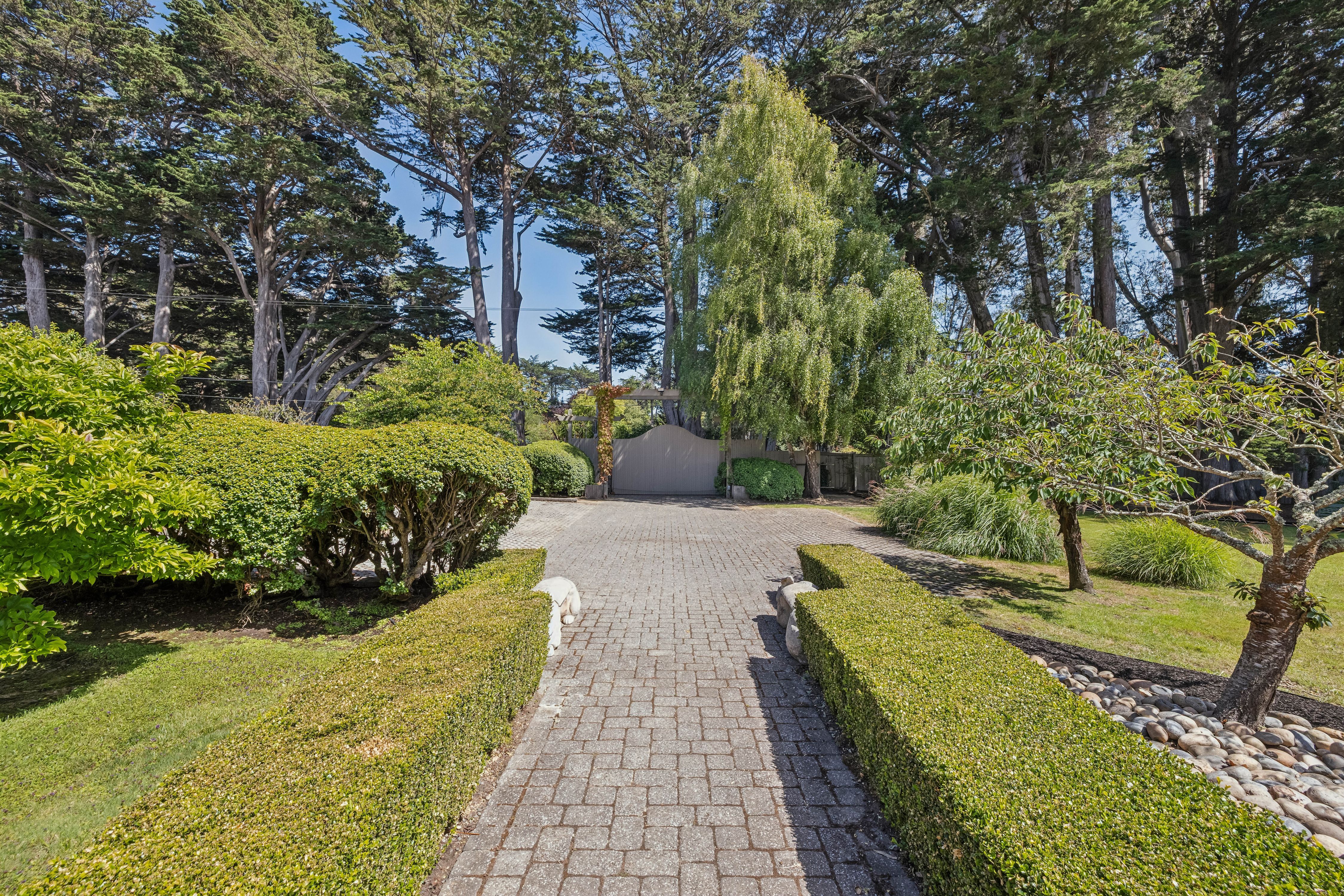  Private Point Reyes Station Retreat - 物件實景