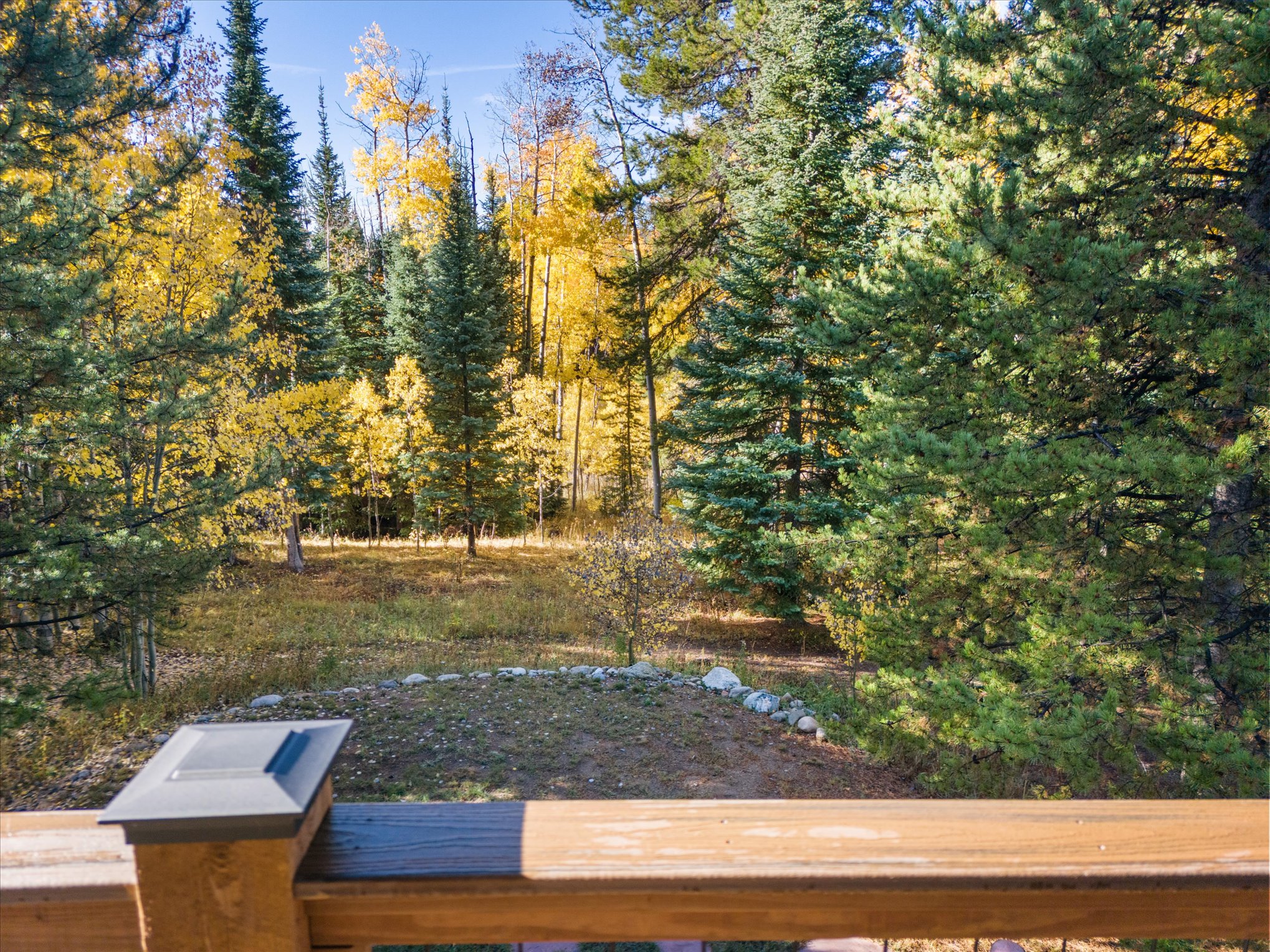  6.28-Acre North Routt Retreat - 物件實景