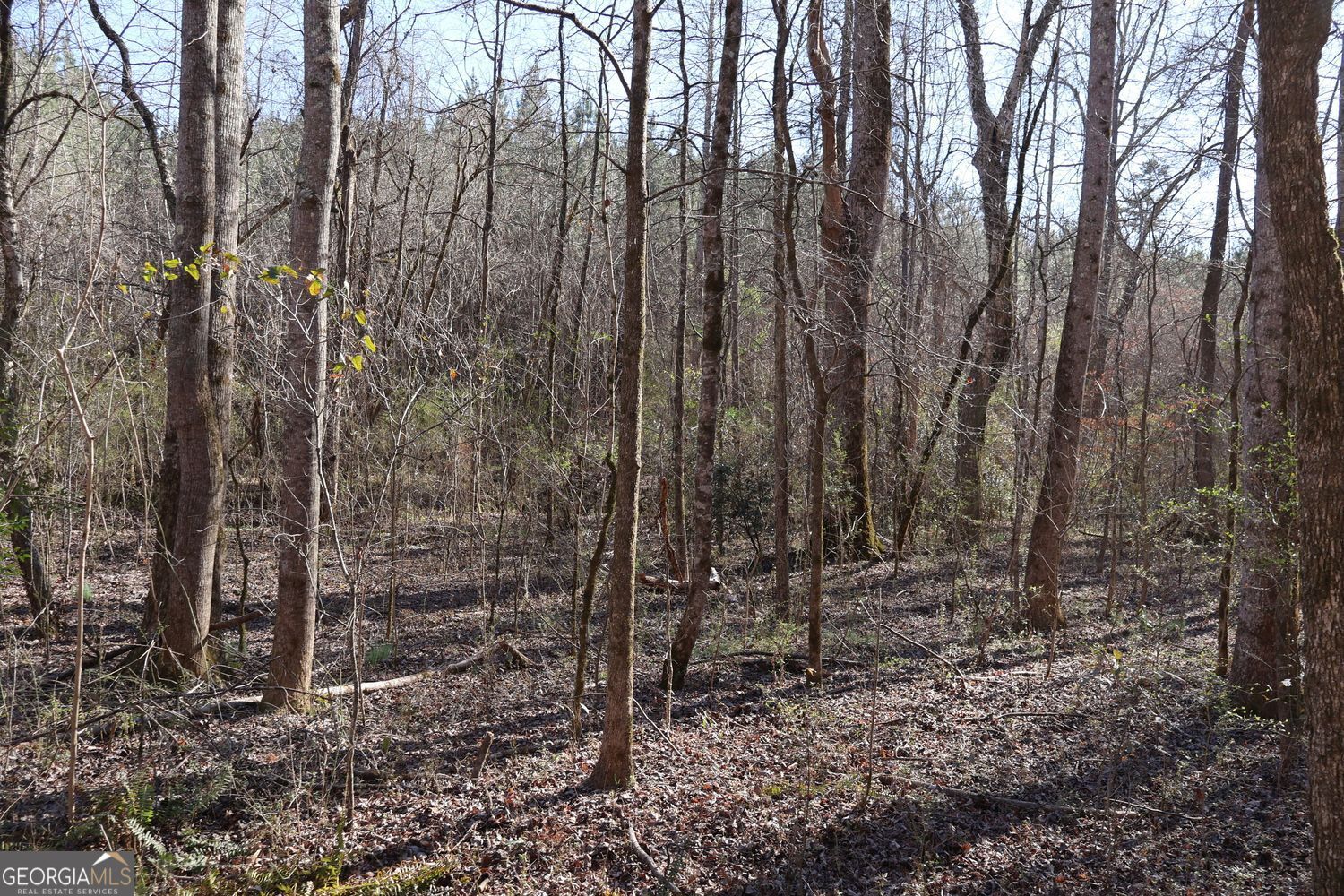 Forsyth, Georgia, 31029, United States, ,Land,For Sale,1907989