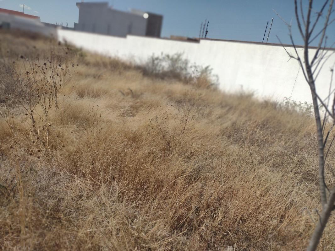 Condominio Fresno, El Marqués, Querétaro, 76246, Mexico, 1 Bedroom Bedrooms, ,Residential,For Sale,Condominio Fresno,1625410
