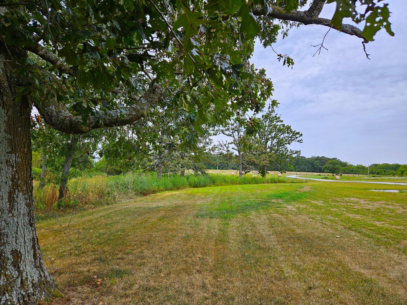 Marionville, Missouri, 65705, United States, 2 Bedrooms Bedrooms, ,2 BathroomsBathrooms,Residential,For Sale,1976770