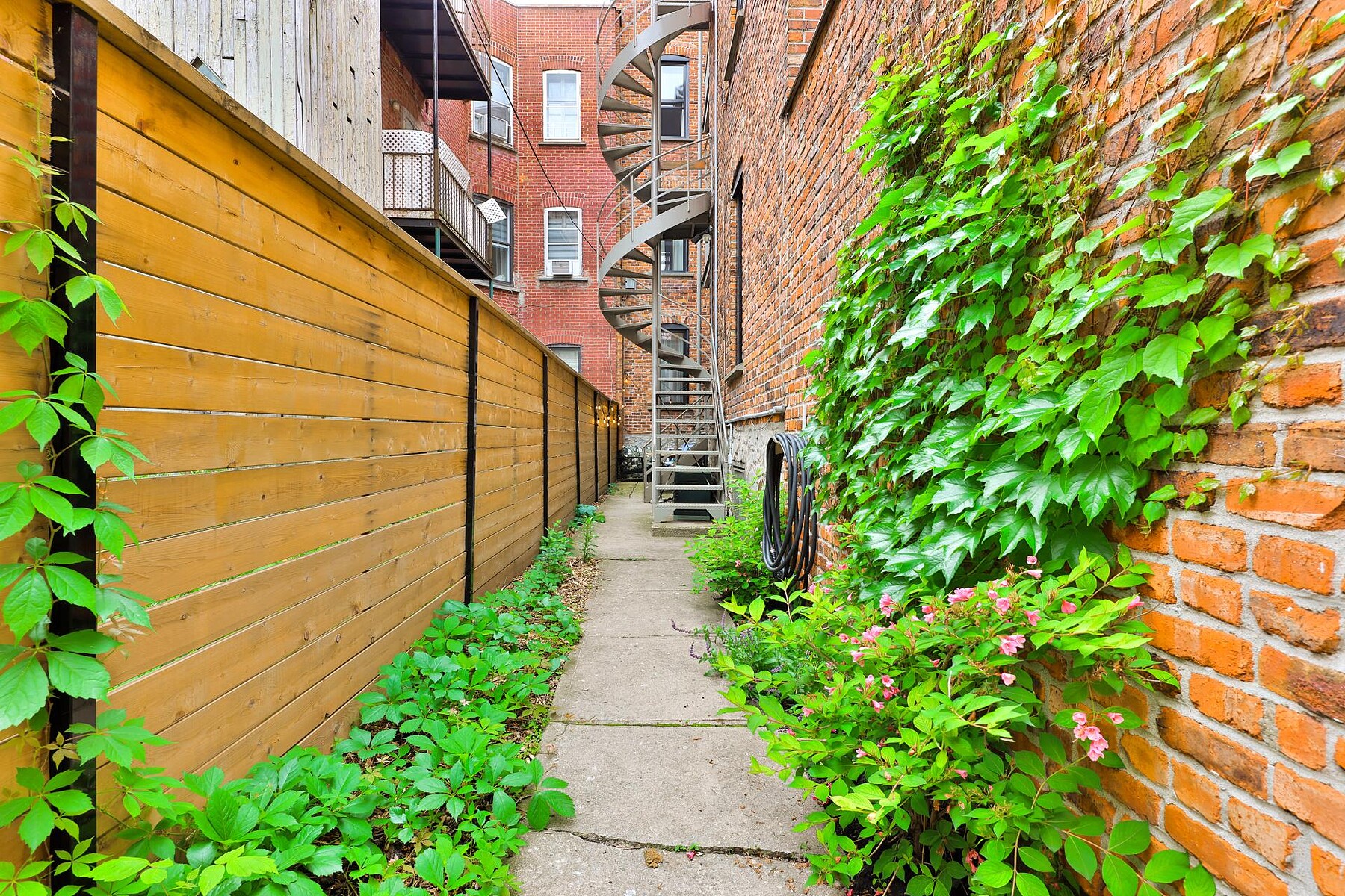  Le Plateau-Mont-Royal, Montréal - 物件實景