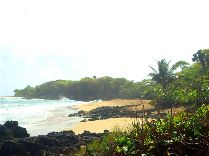 Cabarete, DO, ,Land,For Sale,927965