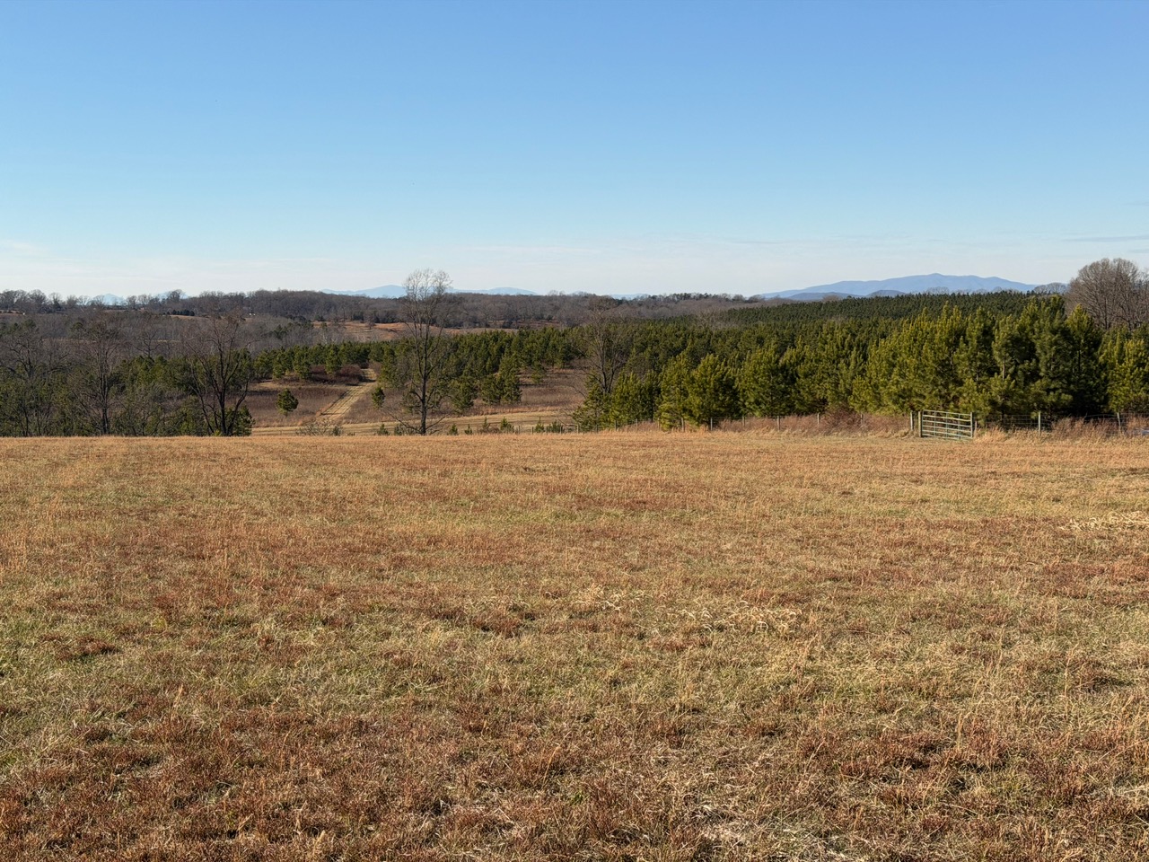 Appomattox, Virginia, 24522, United States, 3 Bedrooms Bedrooms, ,Residential,For Sale,2005300