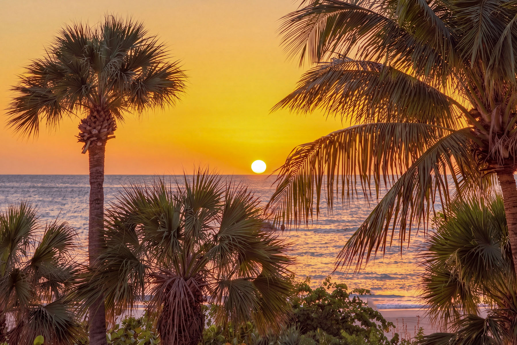  MARCO ISLAND - DUNNFOIRE - 物件實景