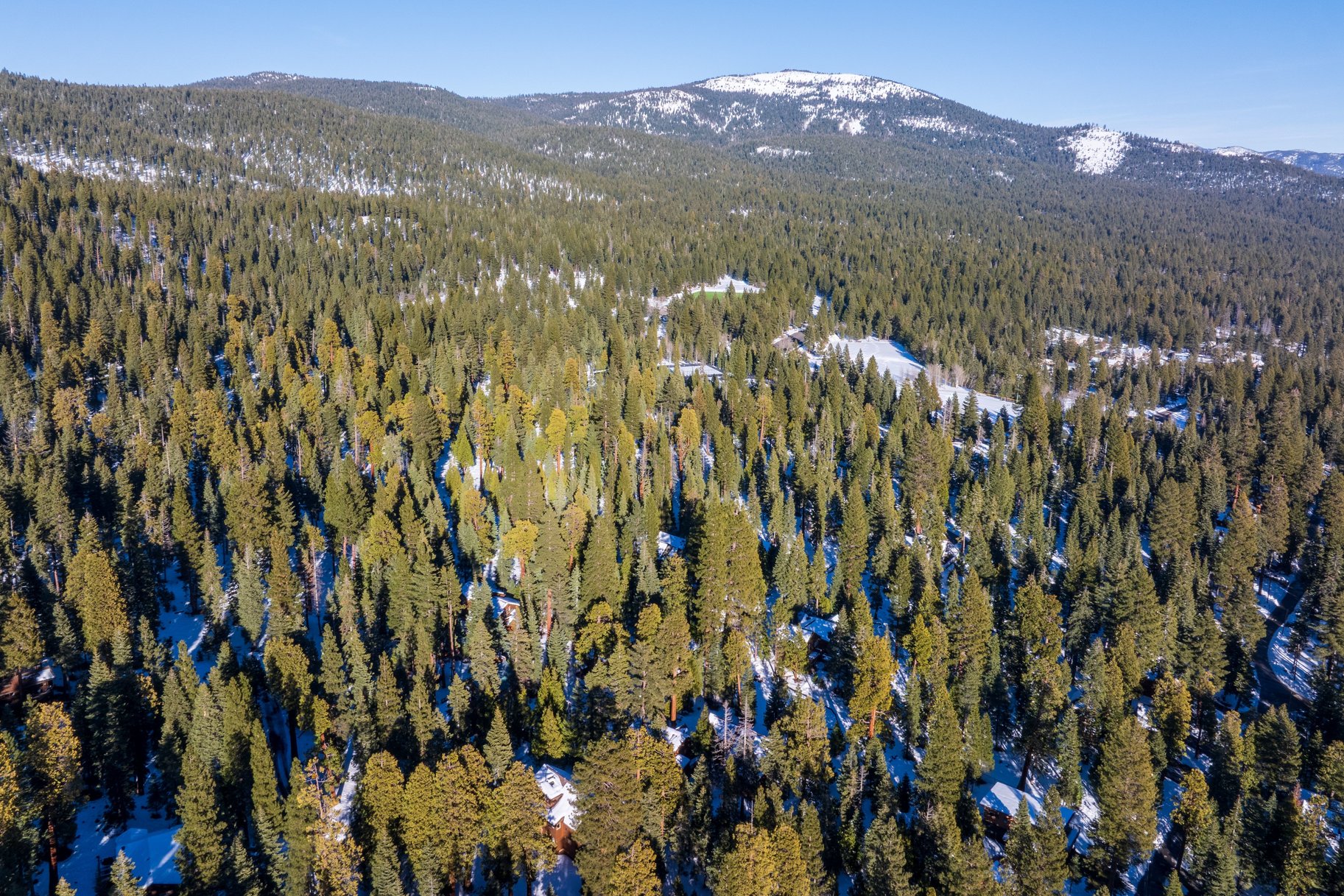  Gorgeous Tahoe Lodge next to open forest and close to everything - 物件實景