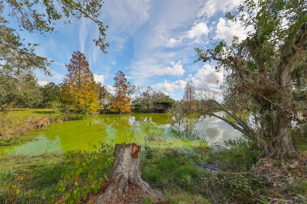 Wimauma, Florida, 33598, United States, 3 Bedrooms Bedrooms, ,2 BathroomsBathrooms,Residential,For Sale,1976753