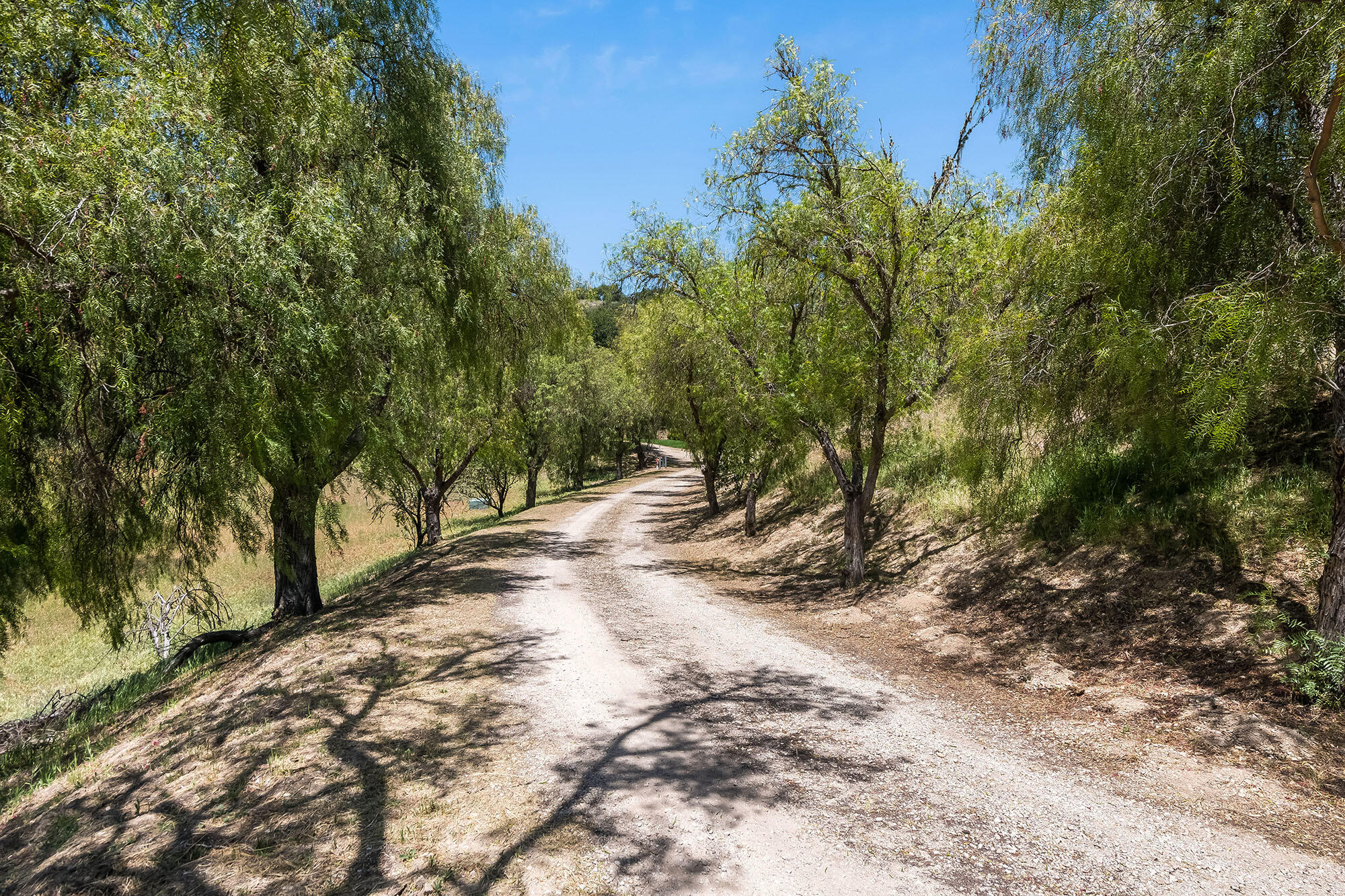 Santa Ynez, California, 93460, United States, 3 Bedrooms Bedrooms, ,3 BathroomsBathrooms,Residential,For Sale,1828139