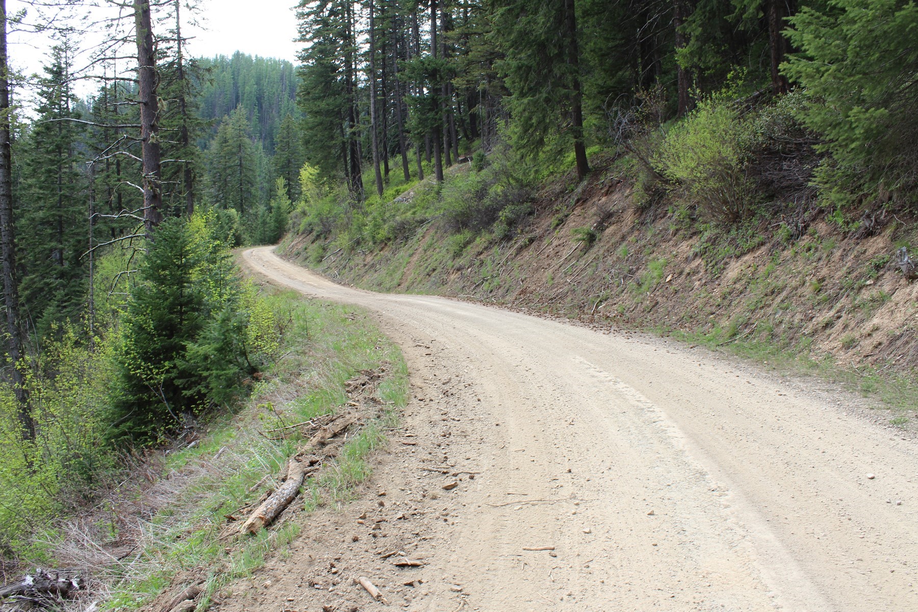  19a Daisy Gulch Road - 物件實景